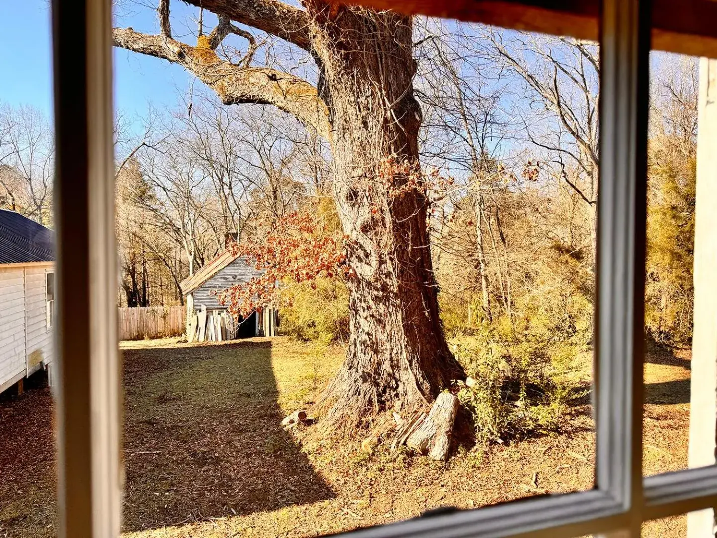 Garden view in The Sunnyside Sisters Bed and Breakfast Garden view in The Sunnyside Sisters Bed and Breakfast