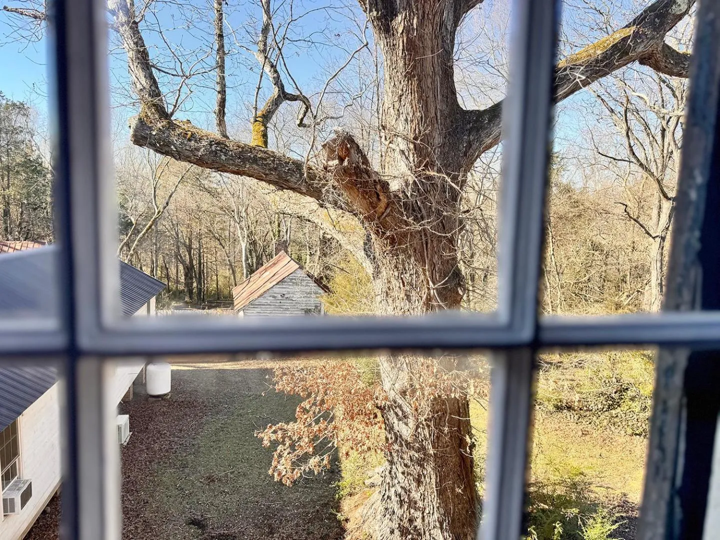 Garden view in The Sunnyside Sisters Bed and Breakfast