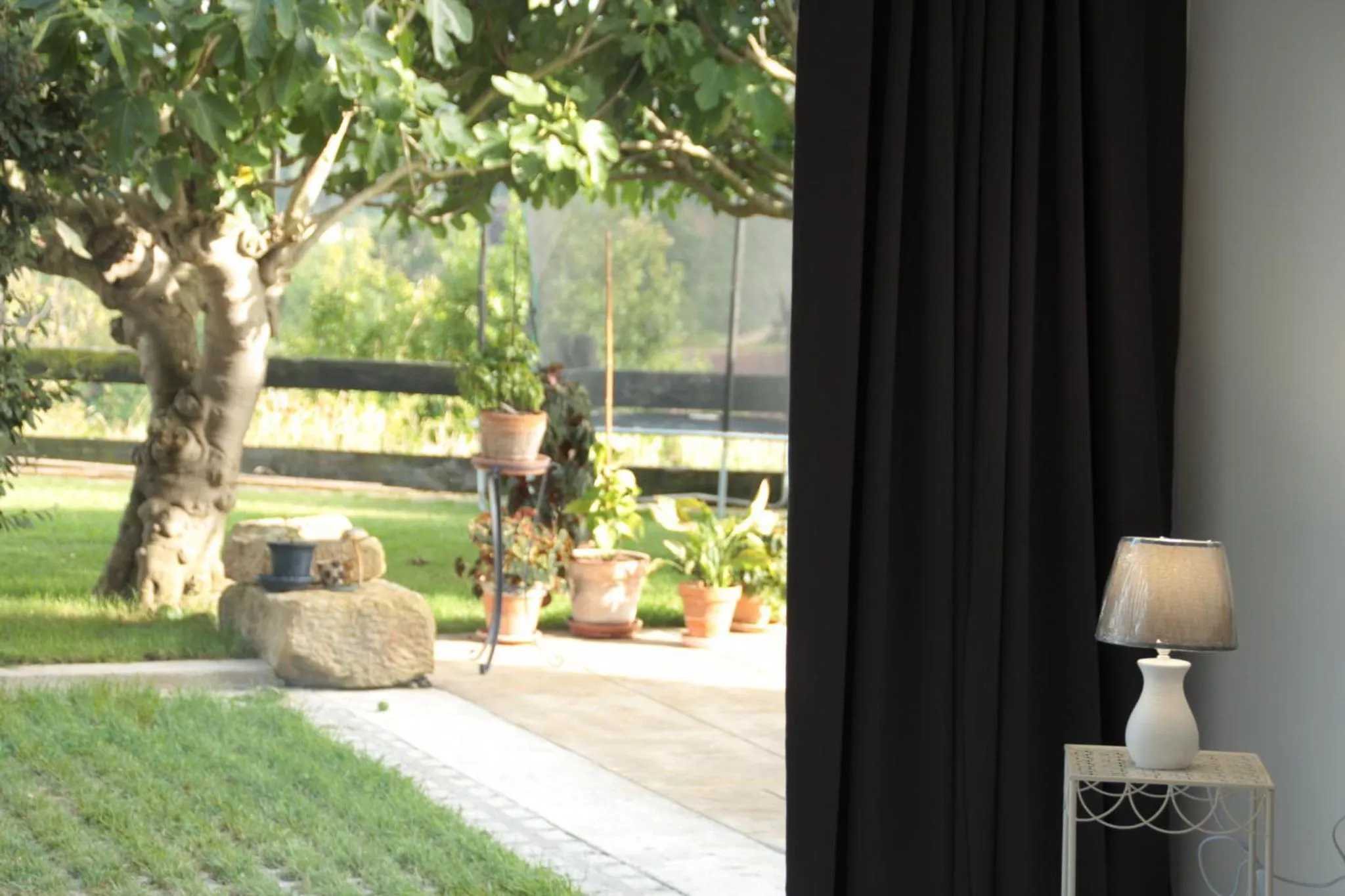 Garden in La Casuca de Mamina