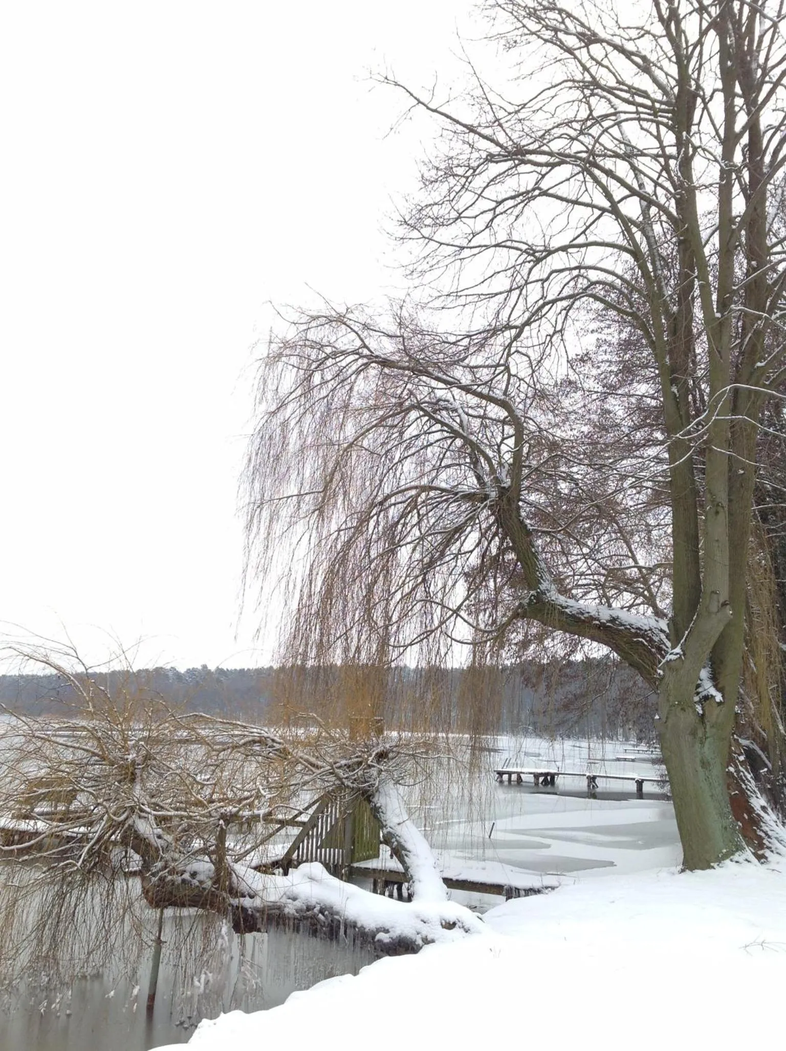 Seasons in Wolfshotel am Arendsee