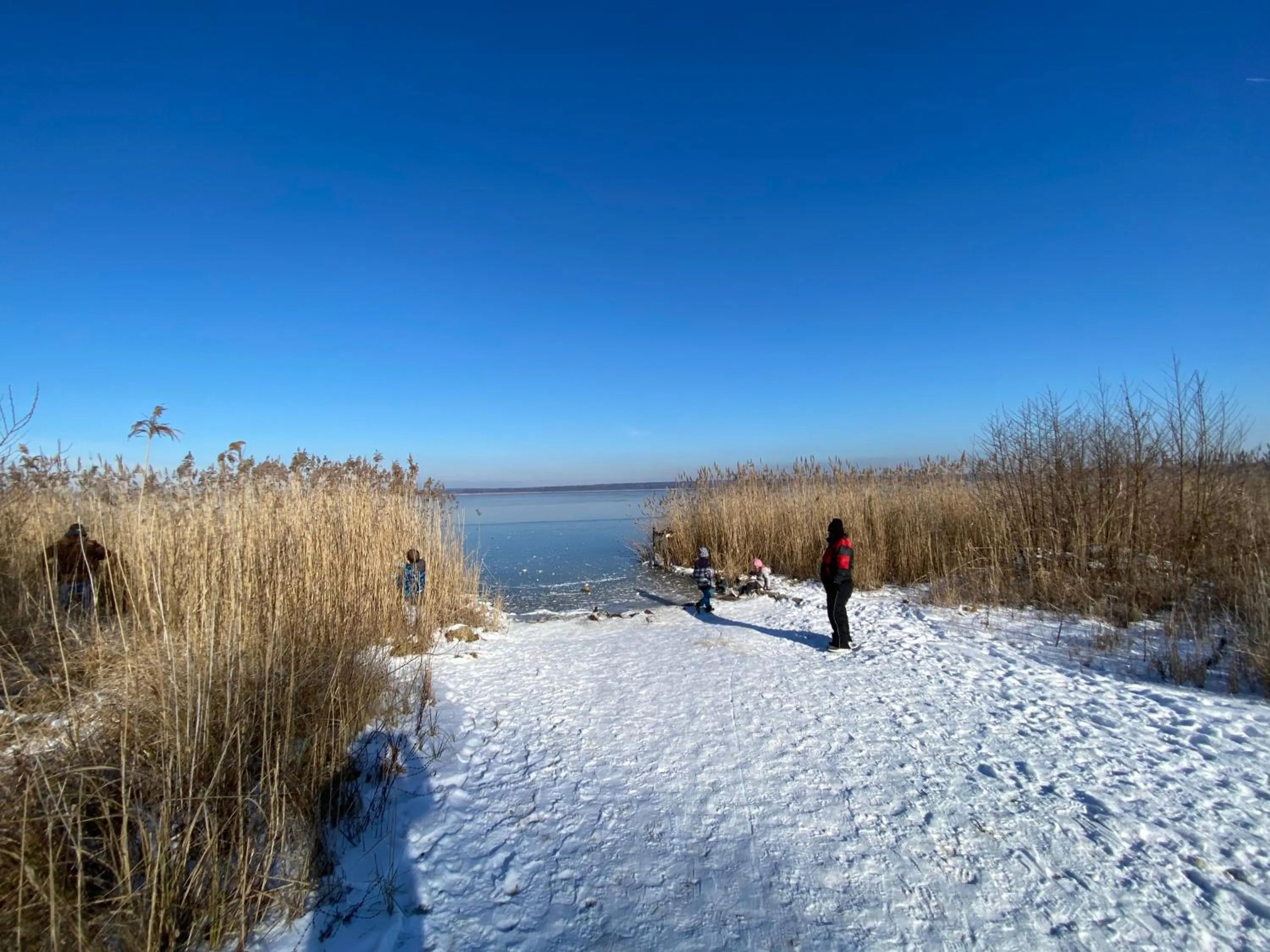Natural landscape in Wolfshotel am Arendsee