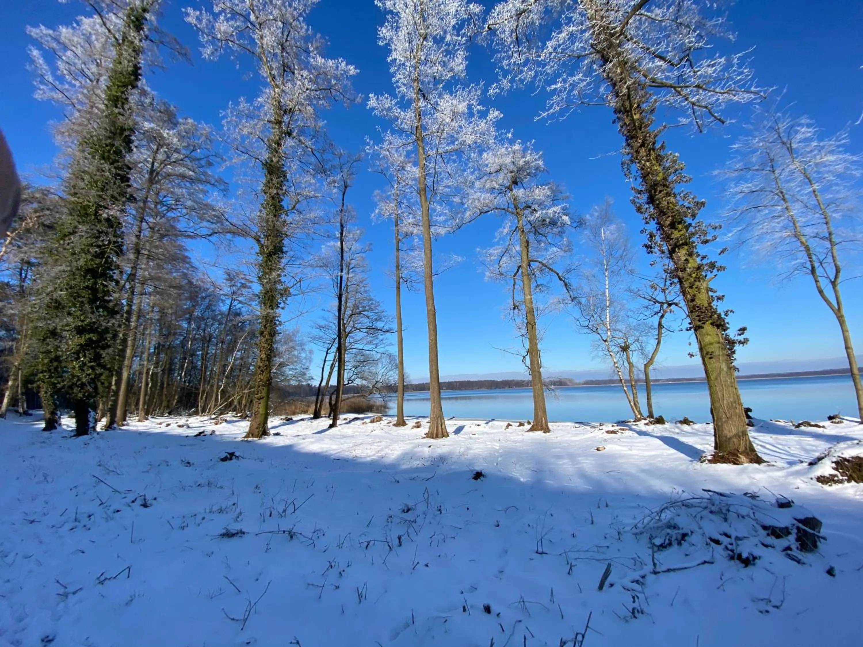 Day in Wolfshotel am Arendsee