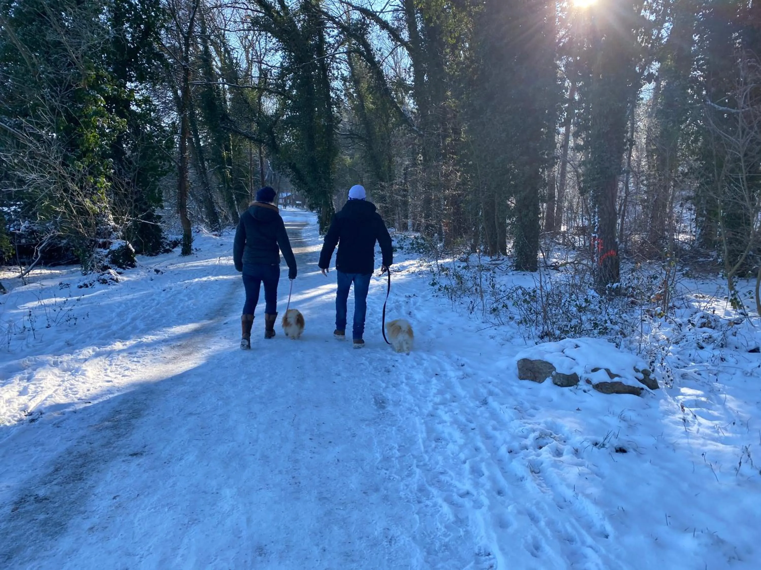 Activities in Wolfshotel am Arendsee