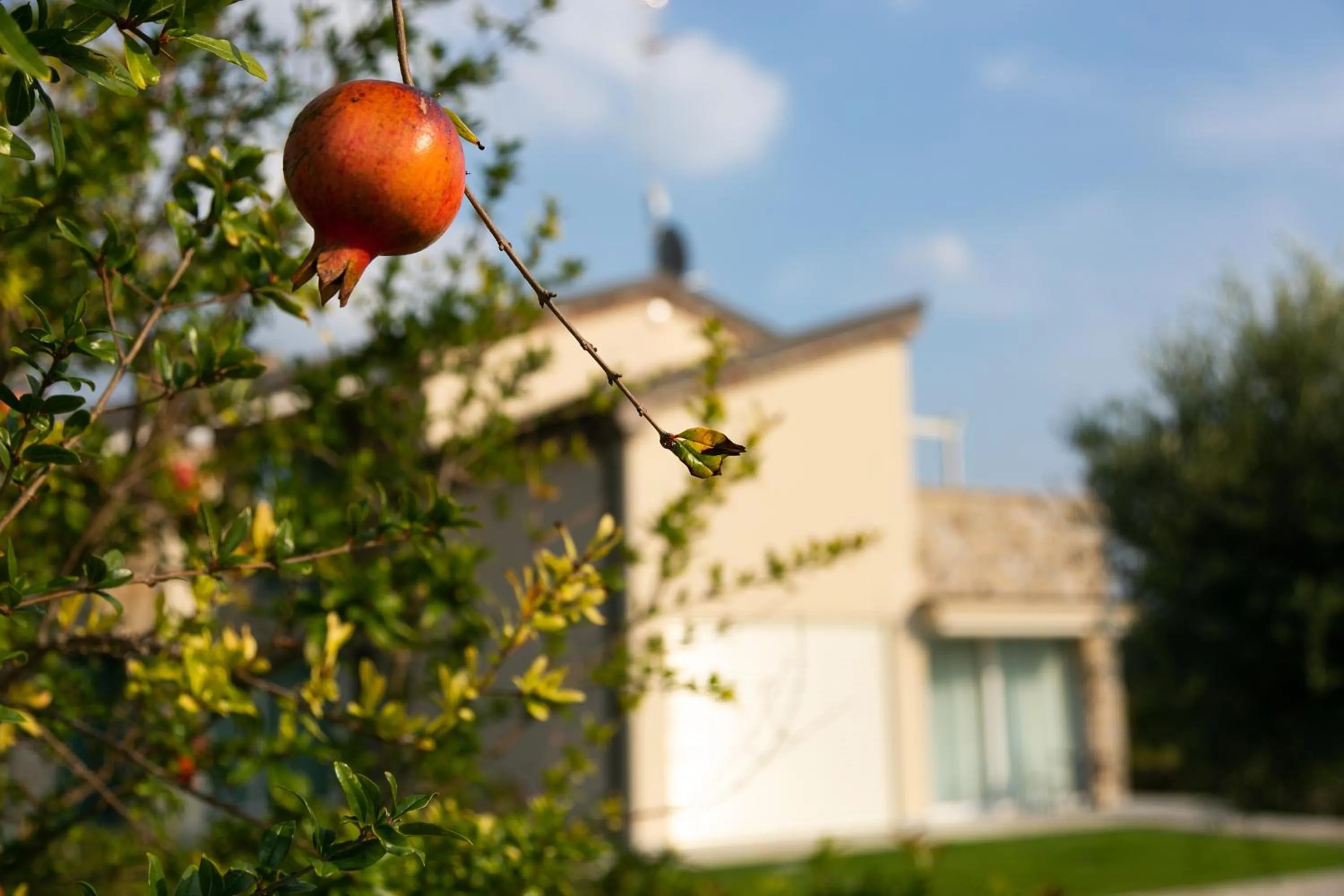 Garden in Casa Massaro Todeschini