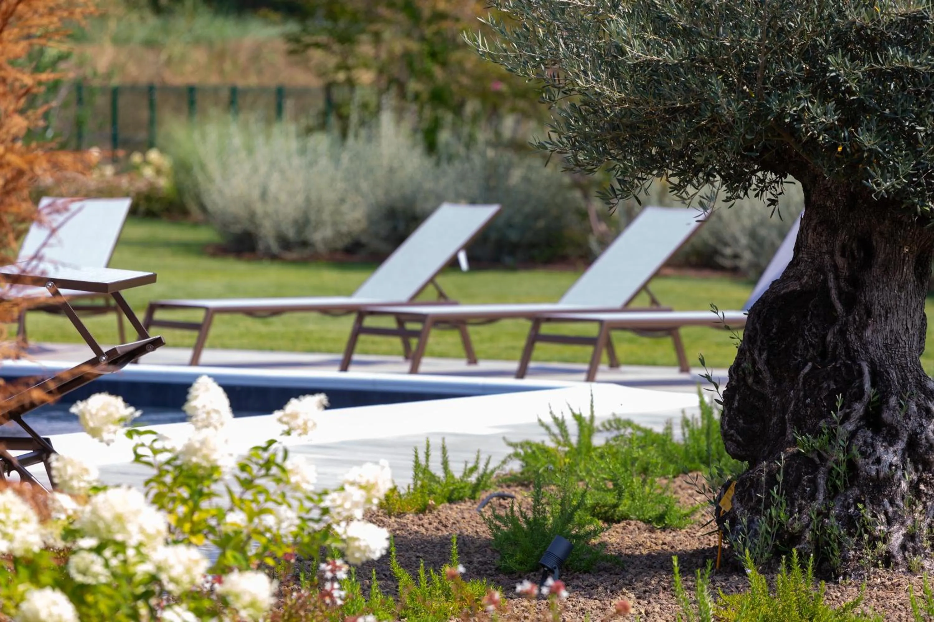 Swimming pool in Casa Massaro Todeschini
