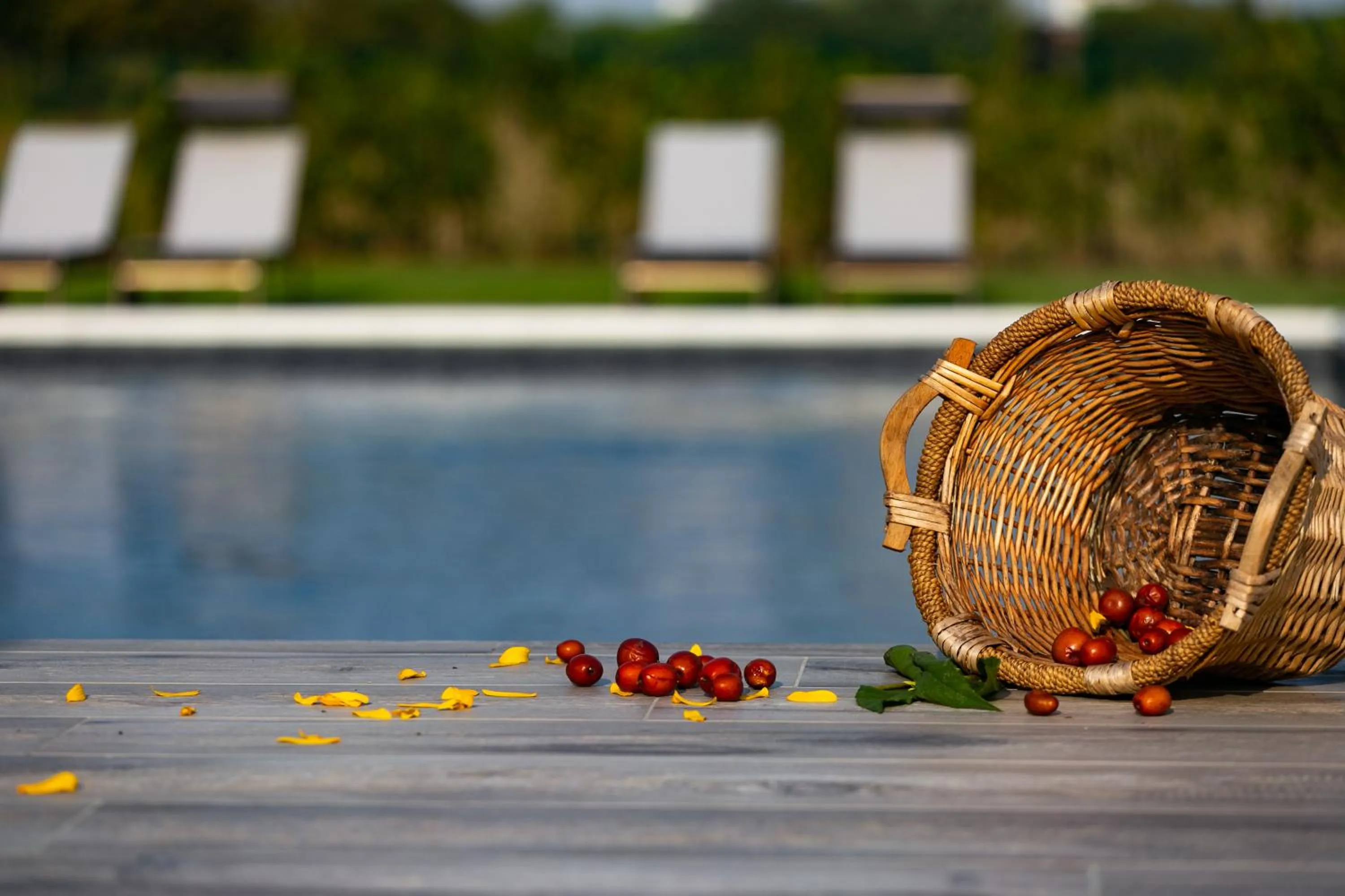 Natural landscape in Casa Massaro Todeschini