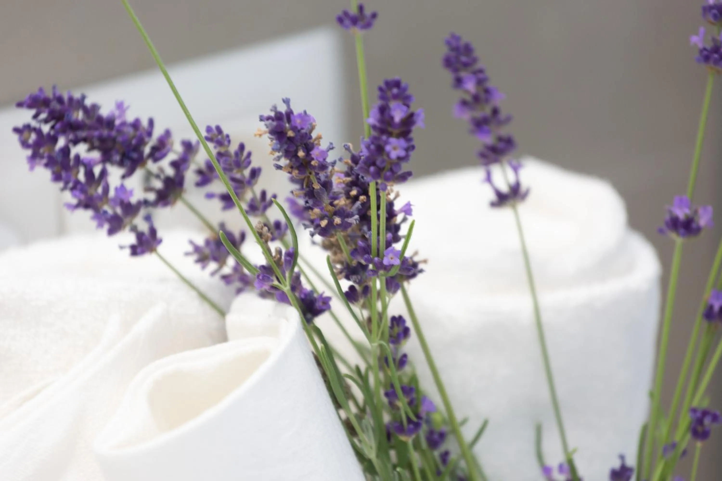 towels in Casa Massaro Todeschini