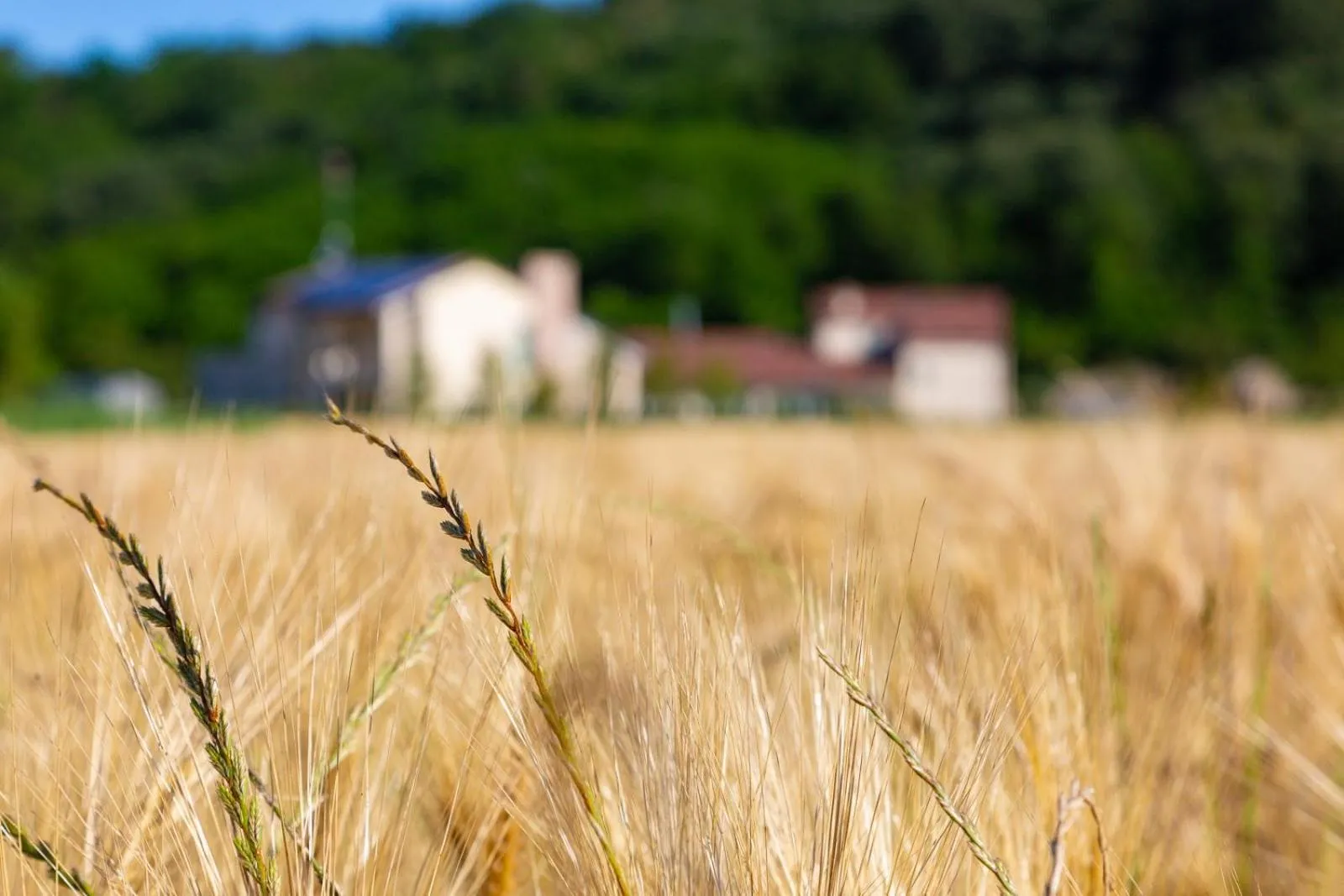 Natural landscape in Casa Massaro Todeschini