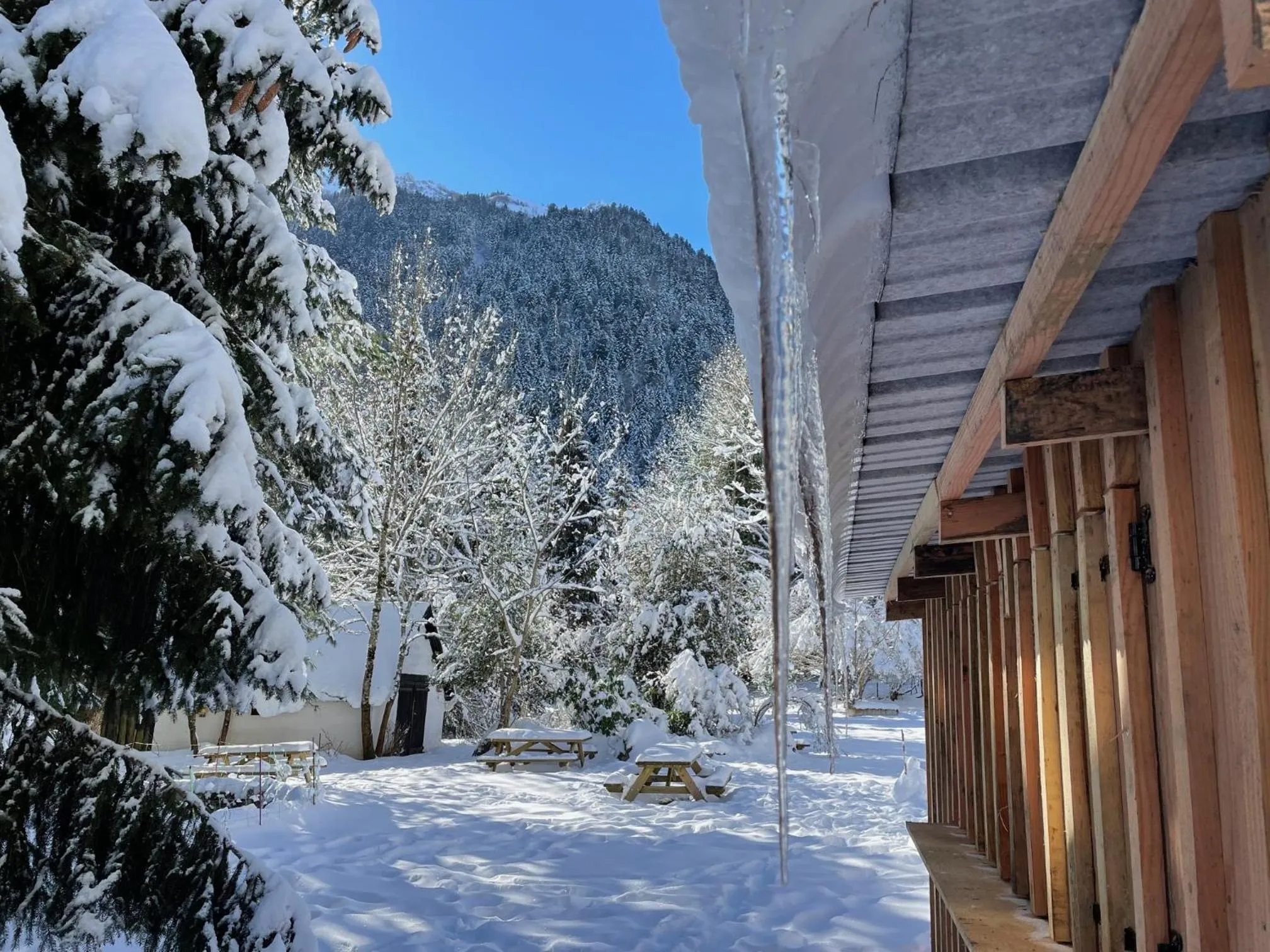 Garden in Hotel O Chiroulet