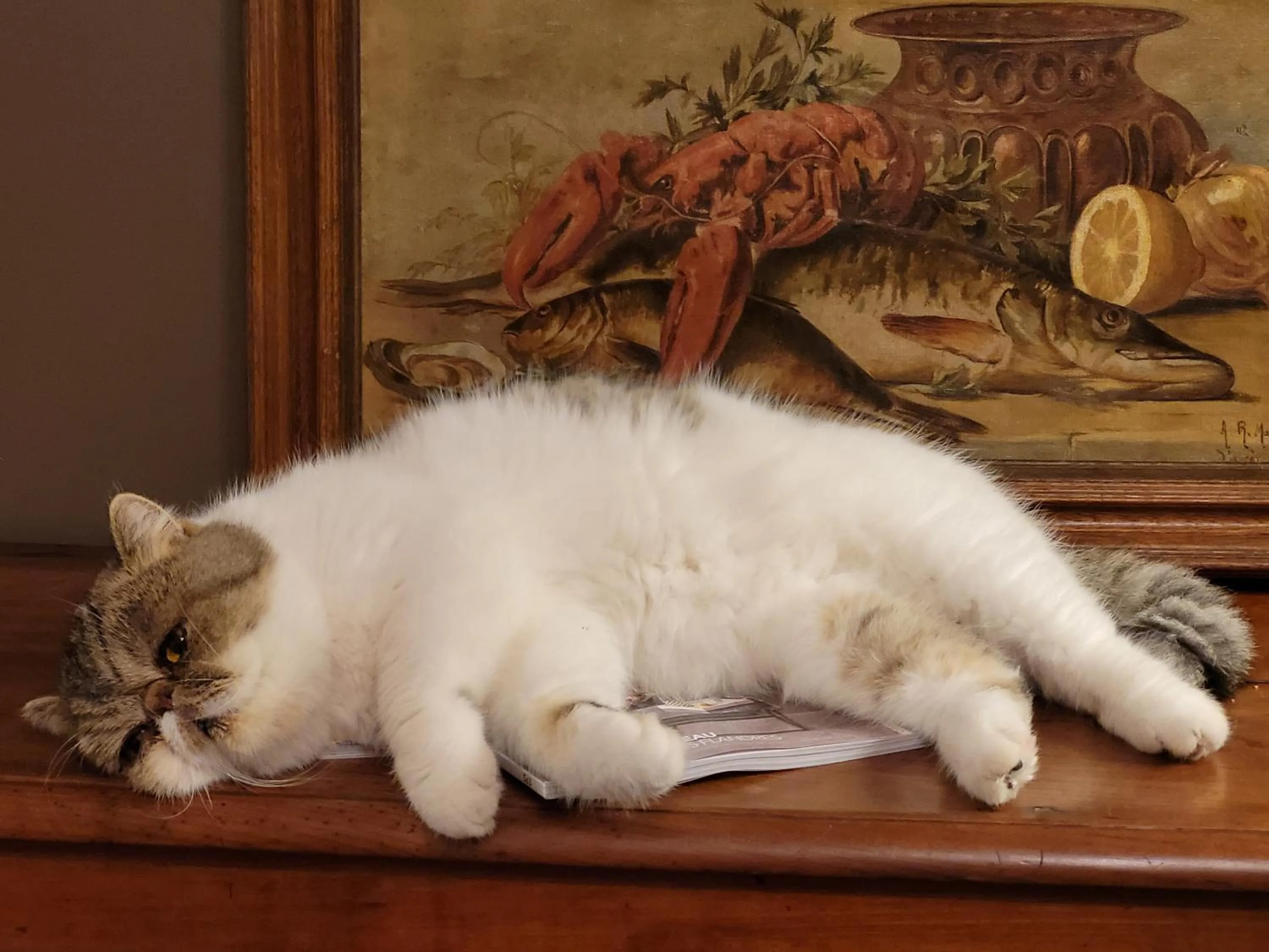 les Myrrhophores et Spa, Chambres d'Hôtes et Gîtes de charme