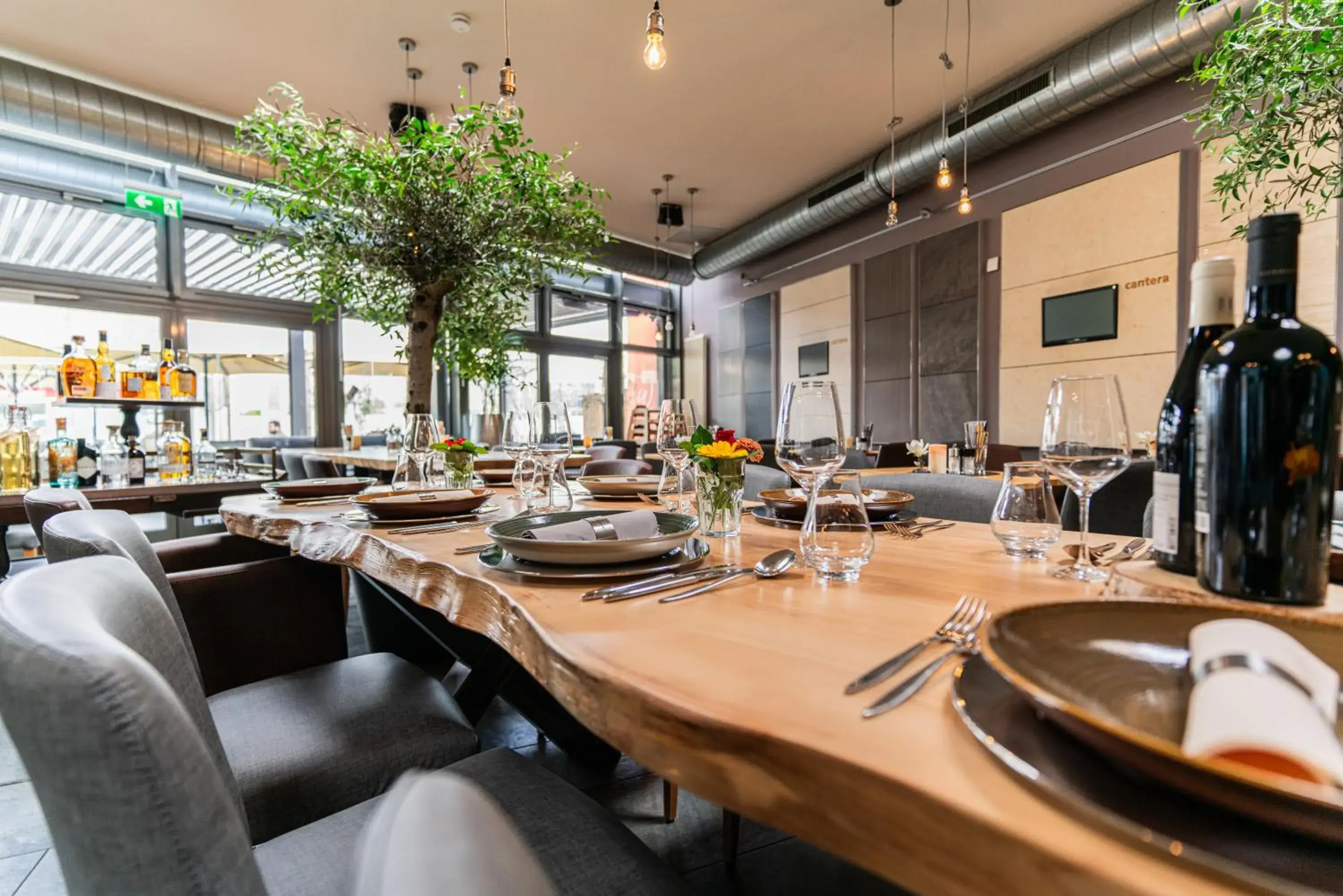 Restaurant/places to eat in cantera by Wiegand Restaurant/places to eat in cantera by Wiegand