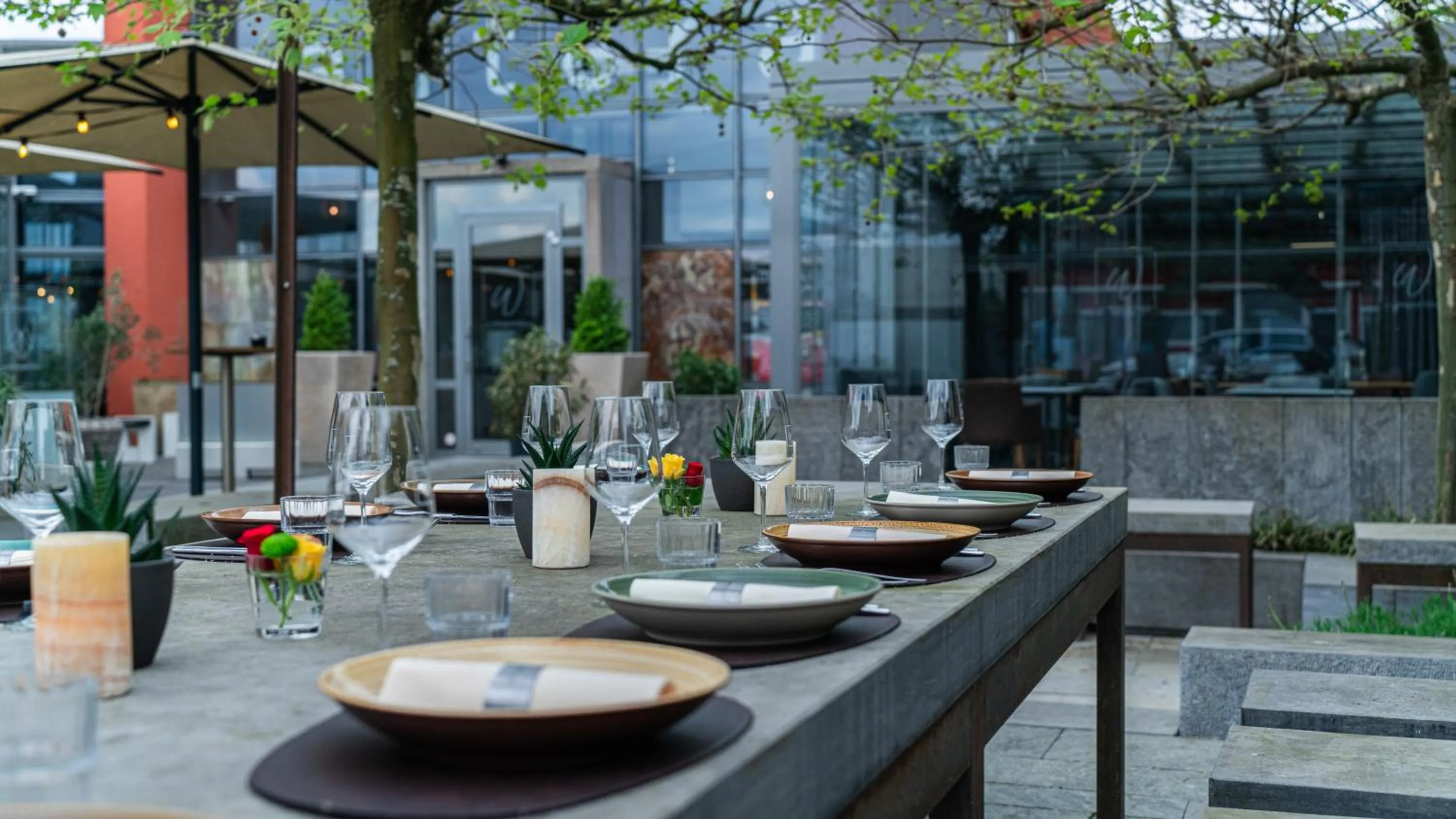 Restaurant/places to eat in cantera by Wiegand