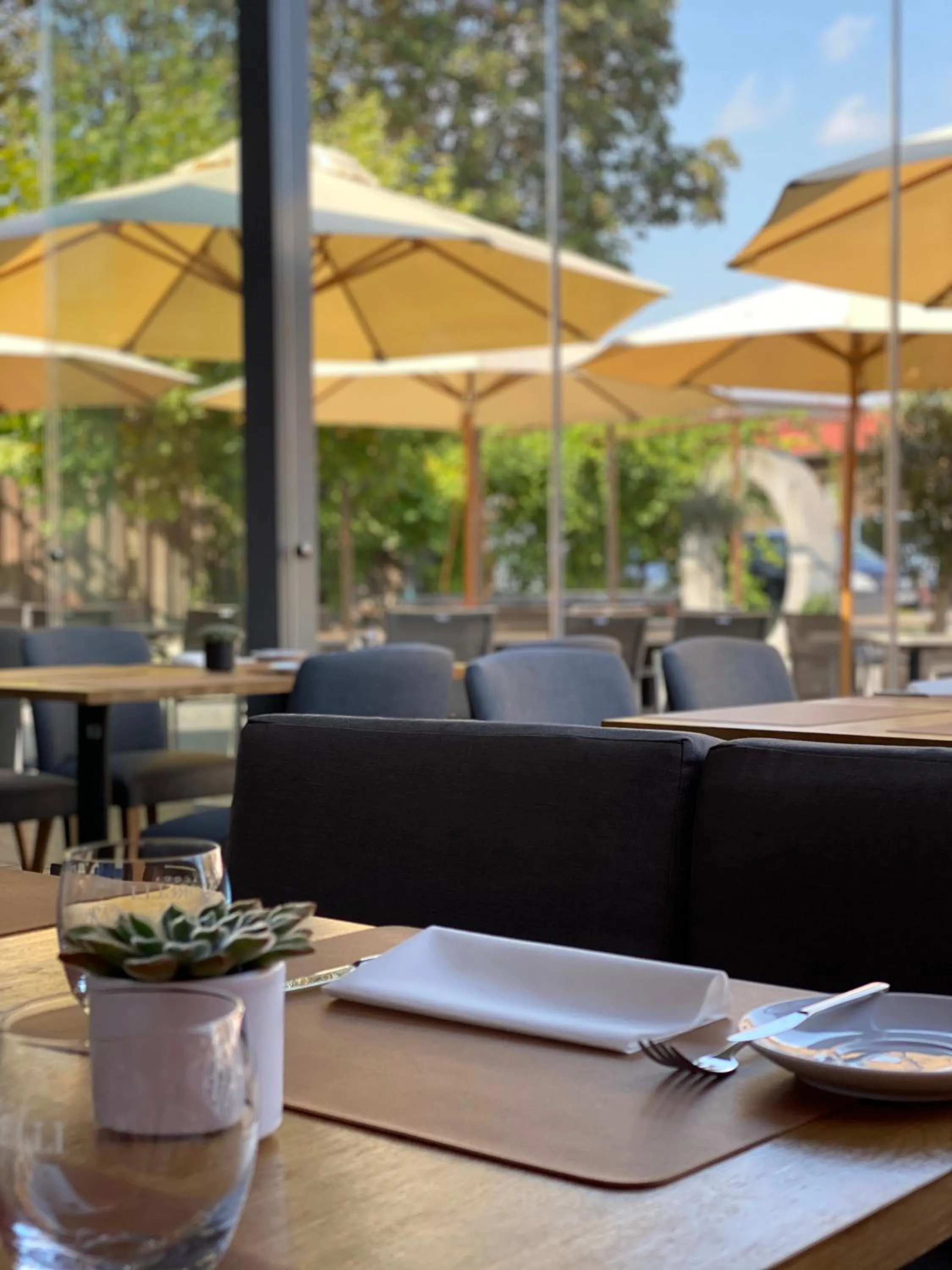 Restaurant/places to eat in cantera by Wiegand