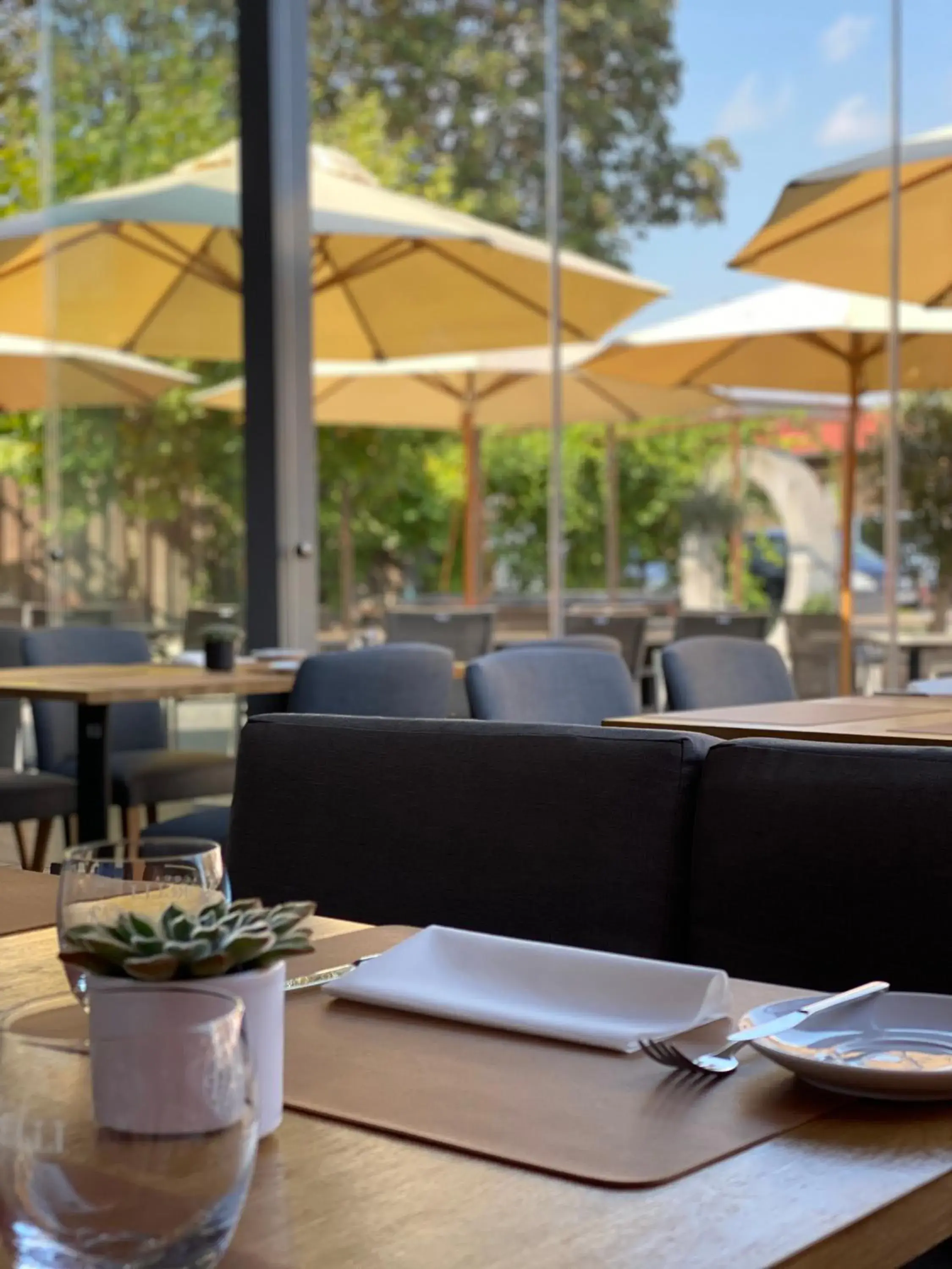 Restaurant/places to eat in cantera by Wiegand Restaurant/places to eat in cantera by Wiegand