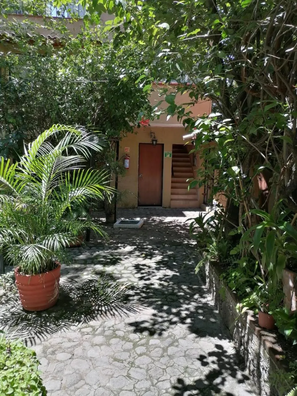 Property building in Posada Bugambilias