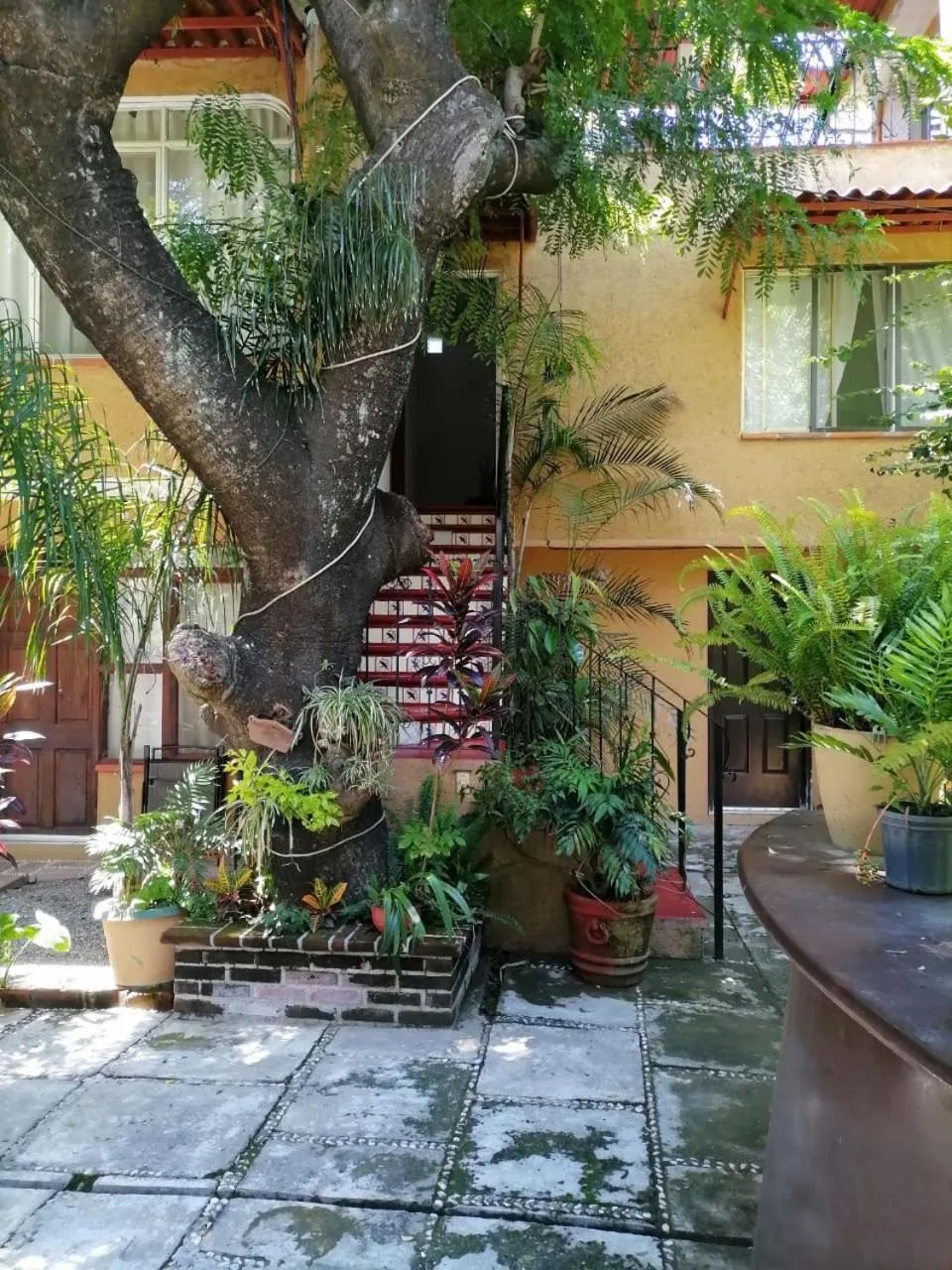 Patio in Posada Bugambilias