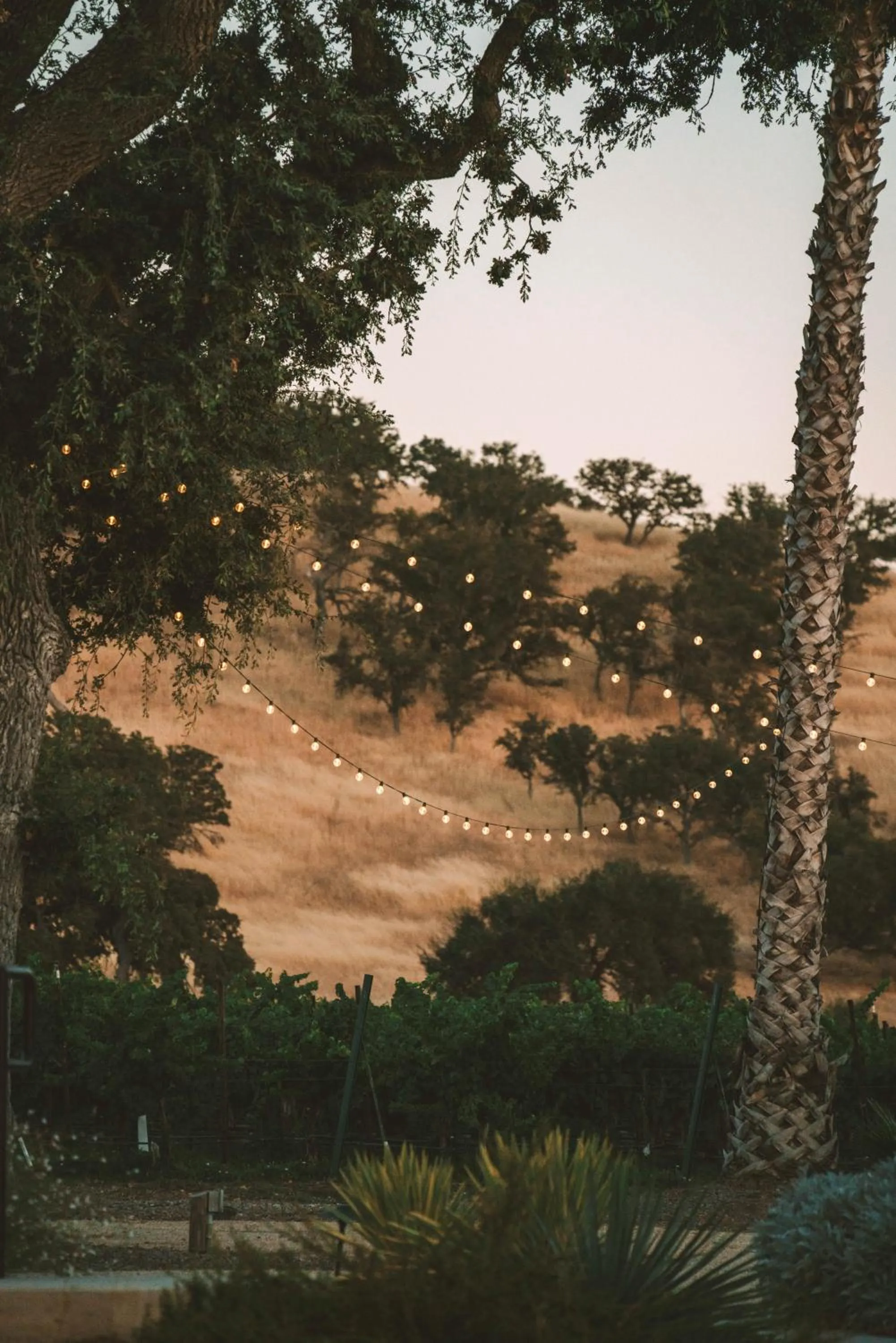Property building in Geneseo Inn