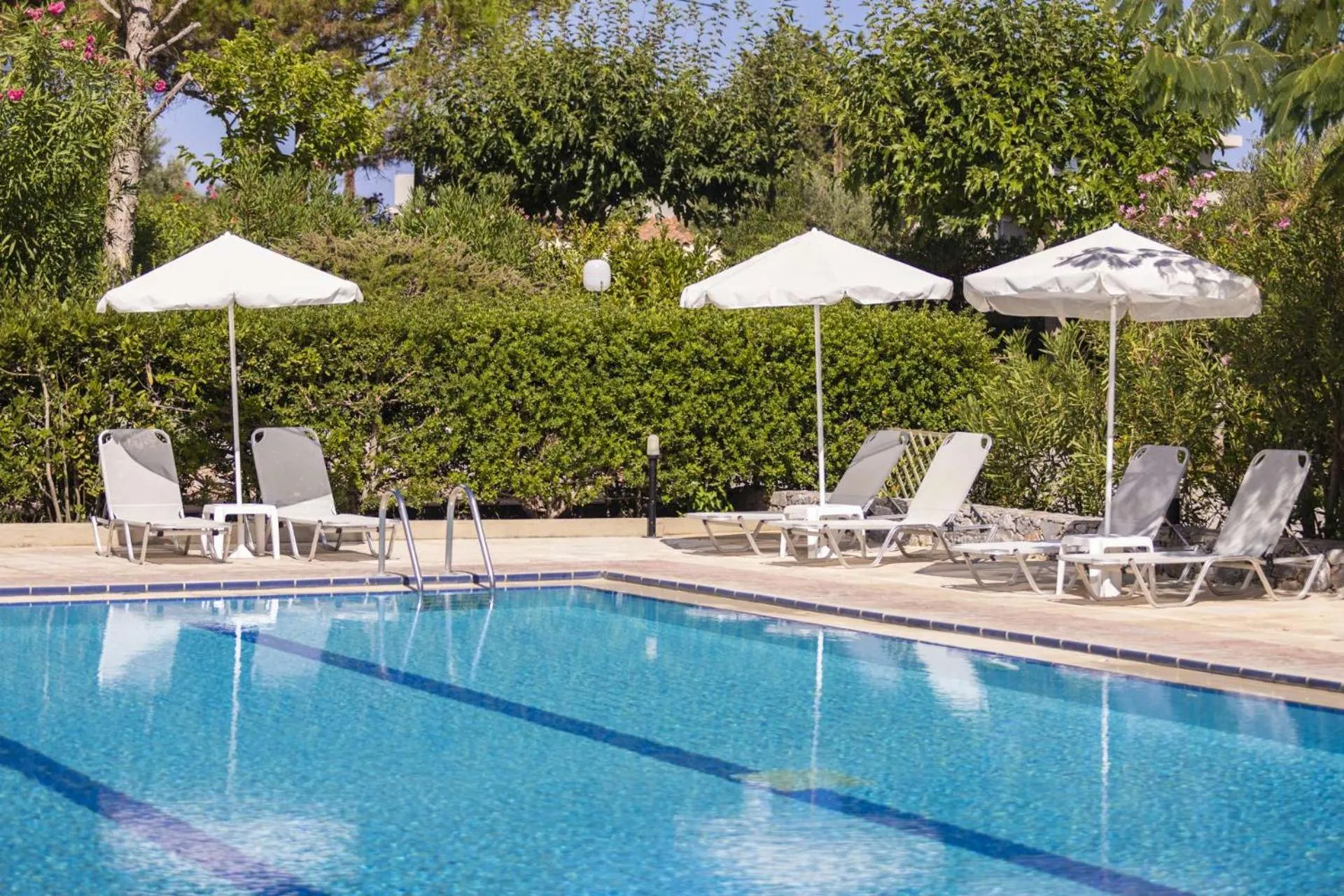 Swimming pool in Ibiscos Garden Hotel