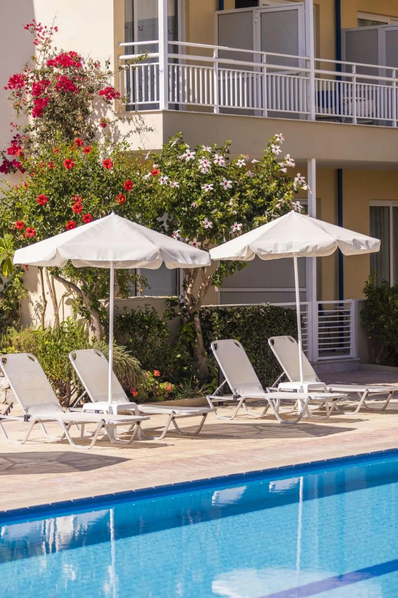 Swimming pool in Ibiscos Garden Hotel
