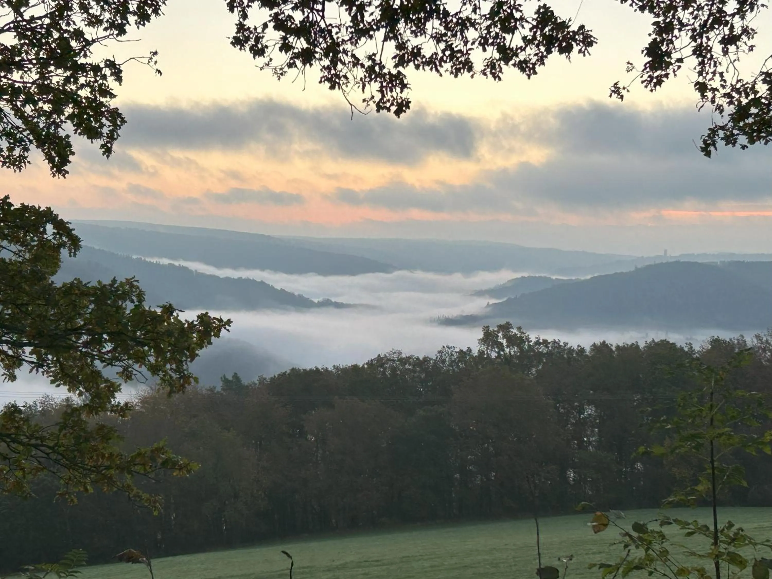 Area and facilities in Hotel Paulushof