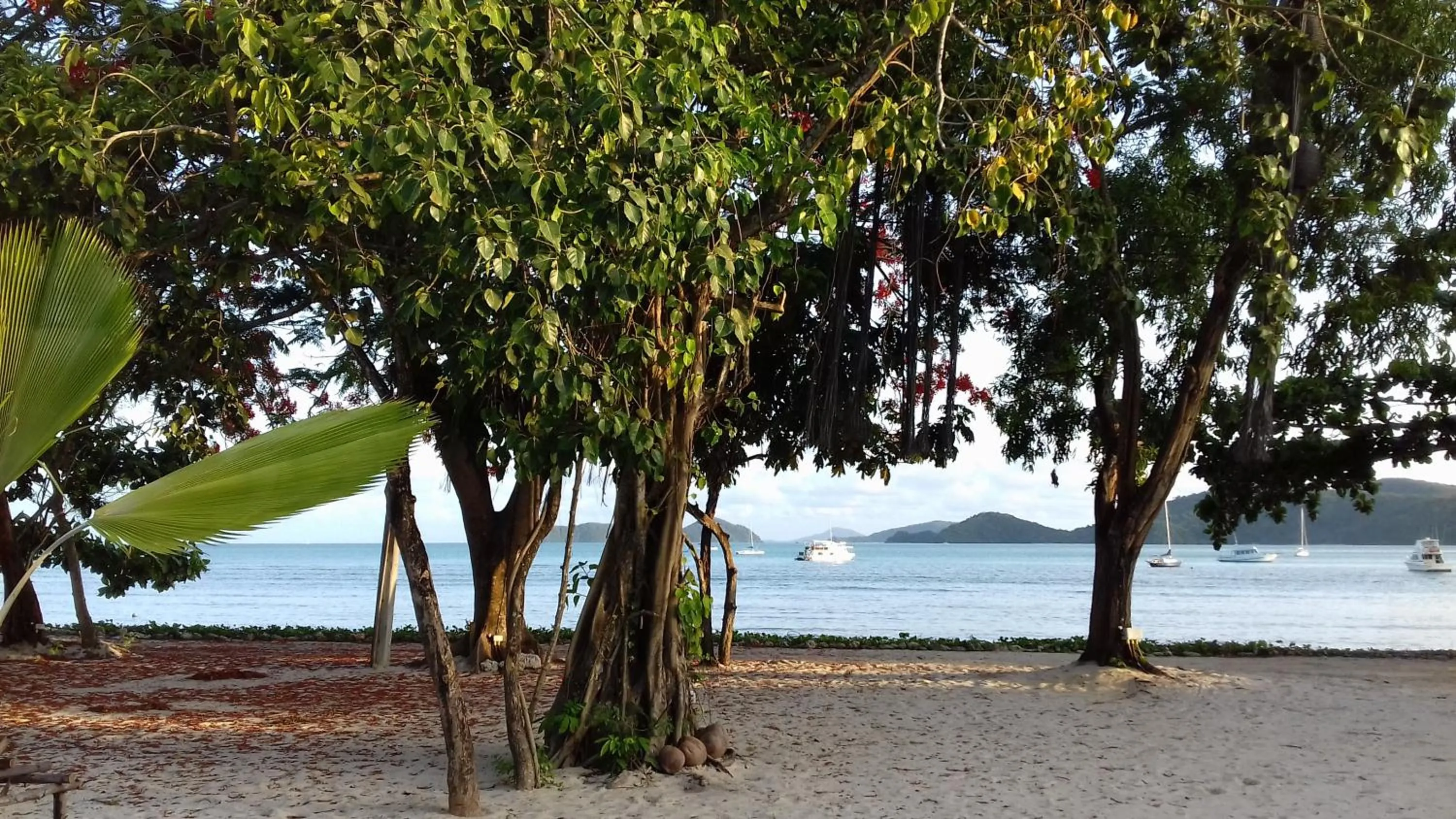 Beach in The Mooring Resort
