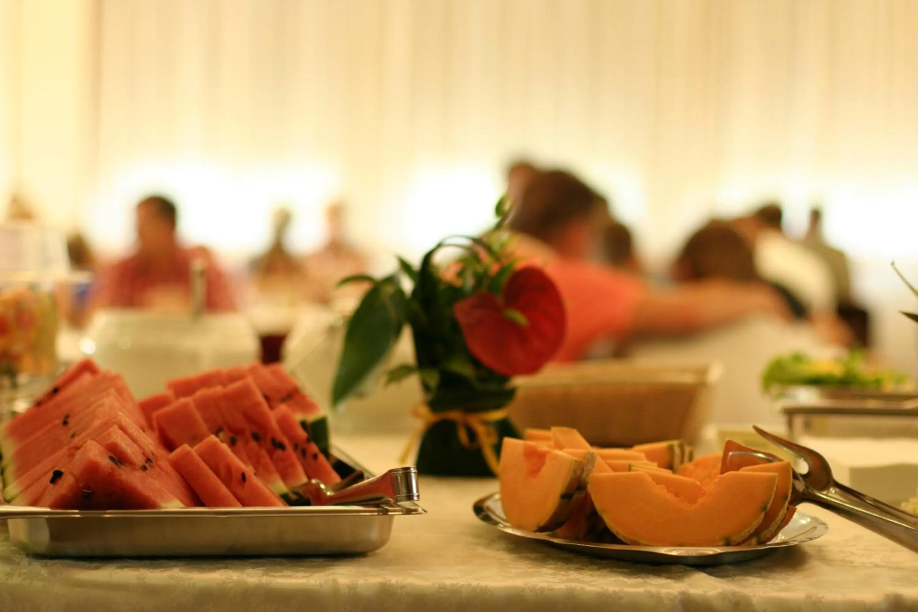 Food and drinks in Hotel Europa