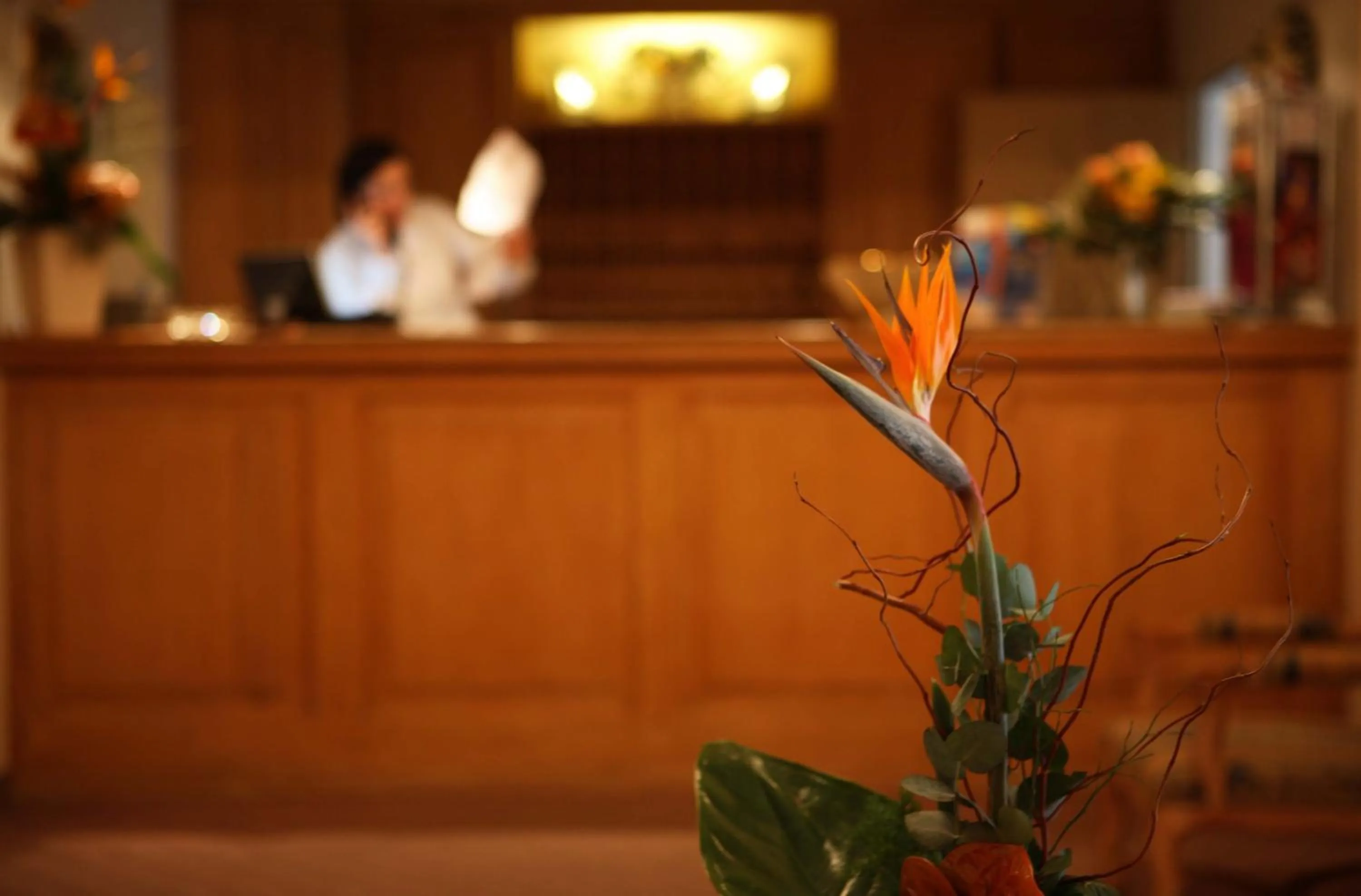 Lobby or reception in Hotel Lessing