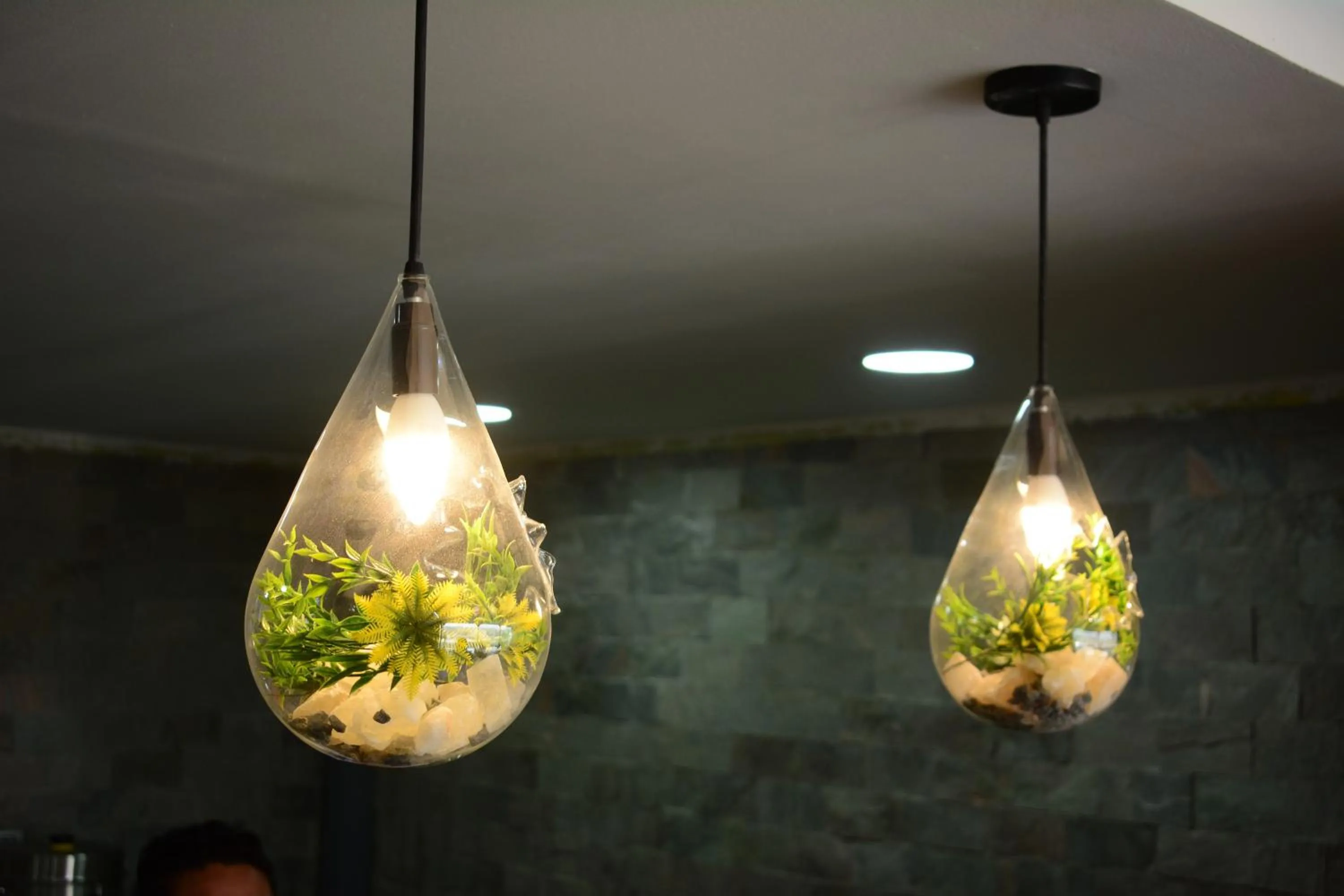 Area and facilities in Jewel Inn El Bakry Hotel