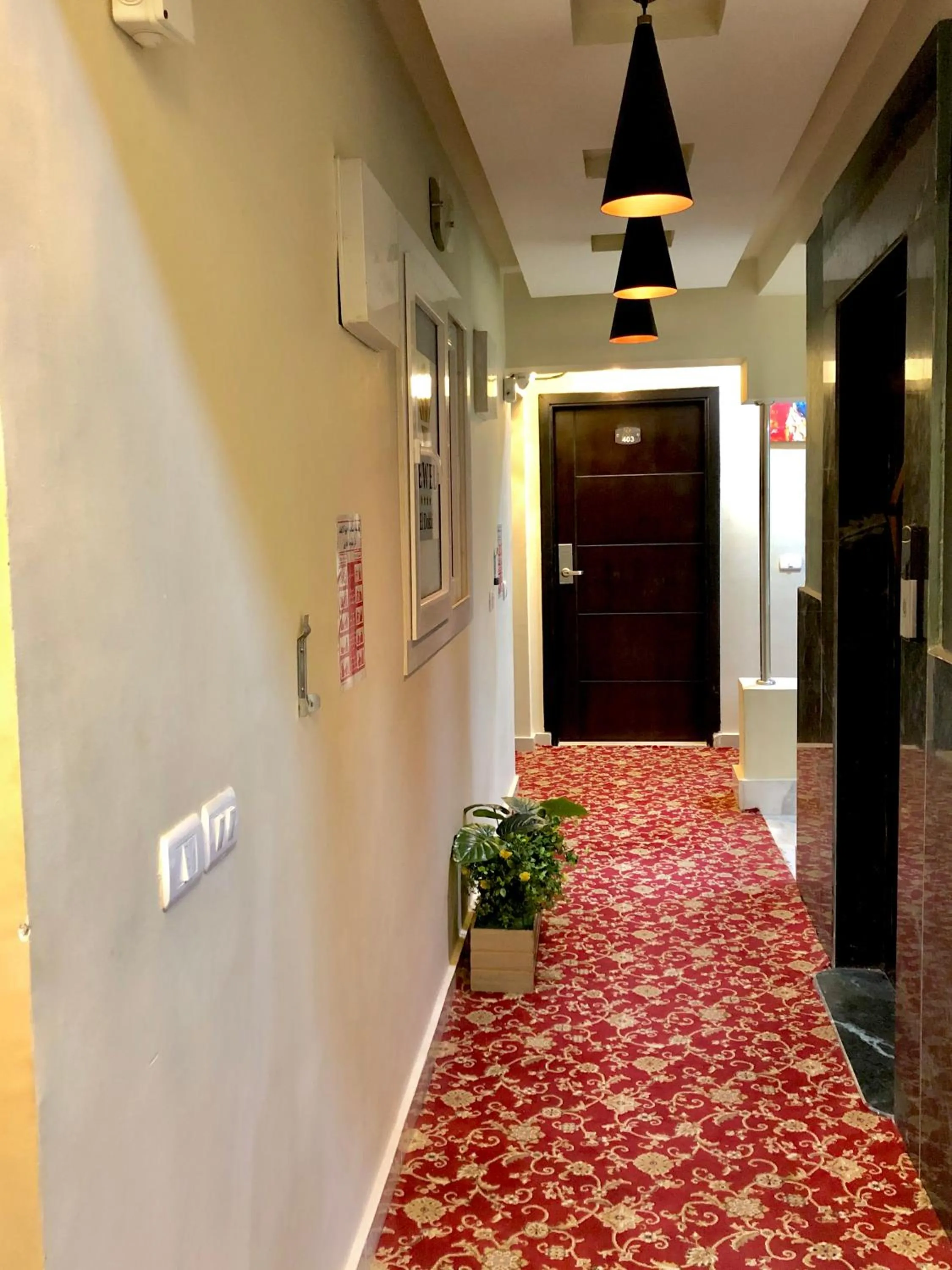 Area and facilities in Jewel Dokki Hotel