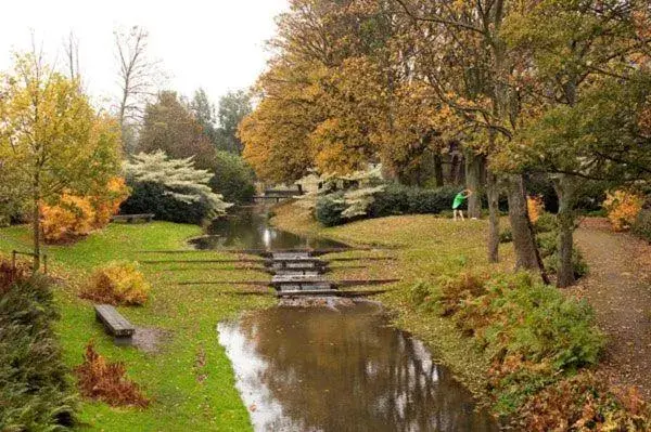 River view in Triple G Hotels River view in Triple G Hotels