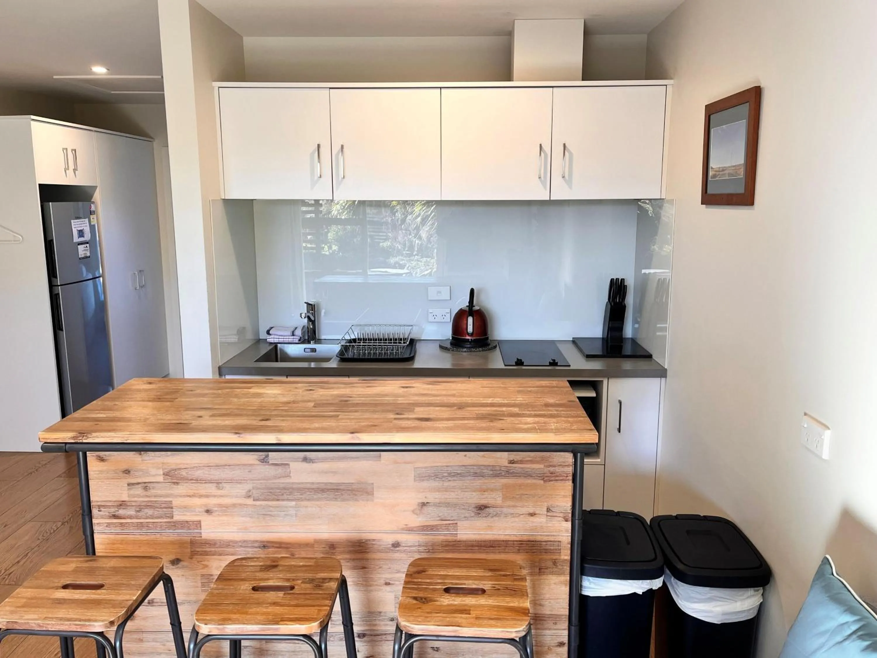 Kitchen or kitchenette in Cairnsmore Apartment - Lake Tekapo