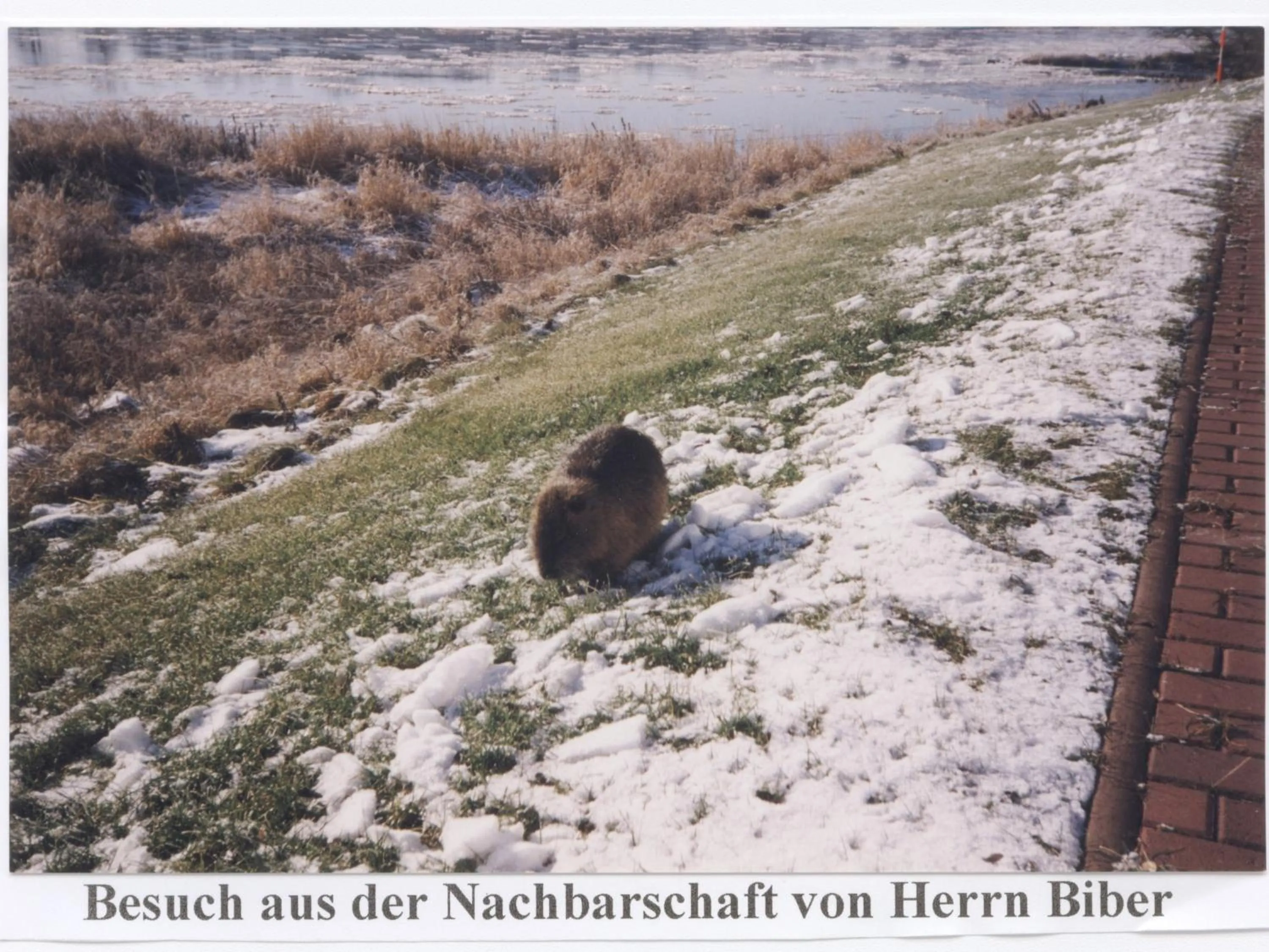 View (from property/room) in Elbterrassen zu Brambach