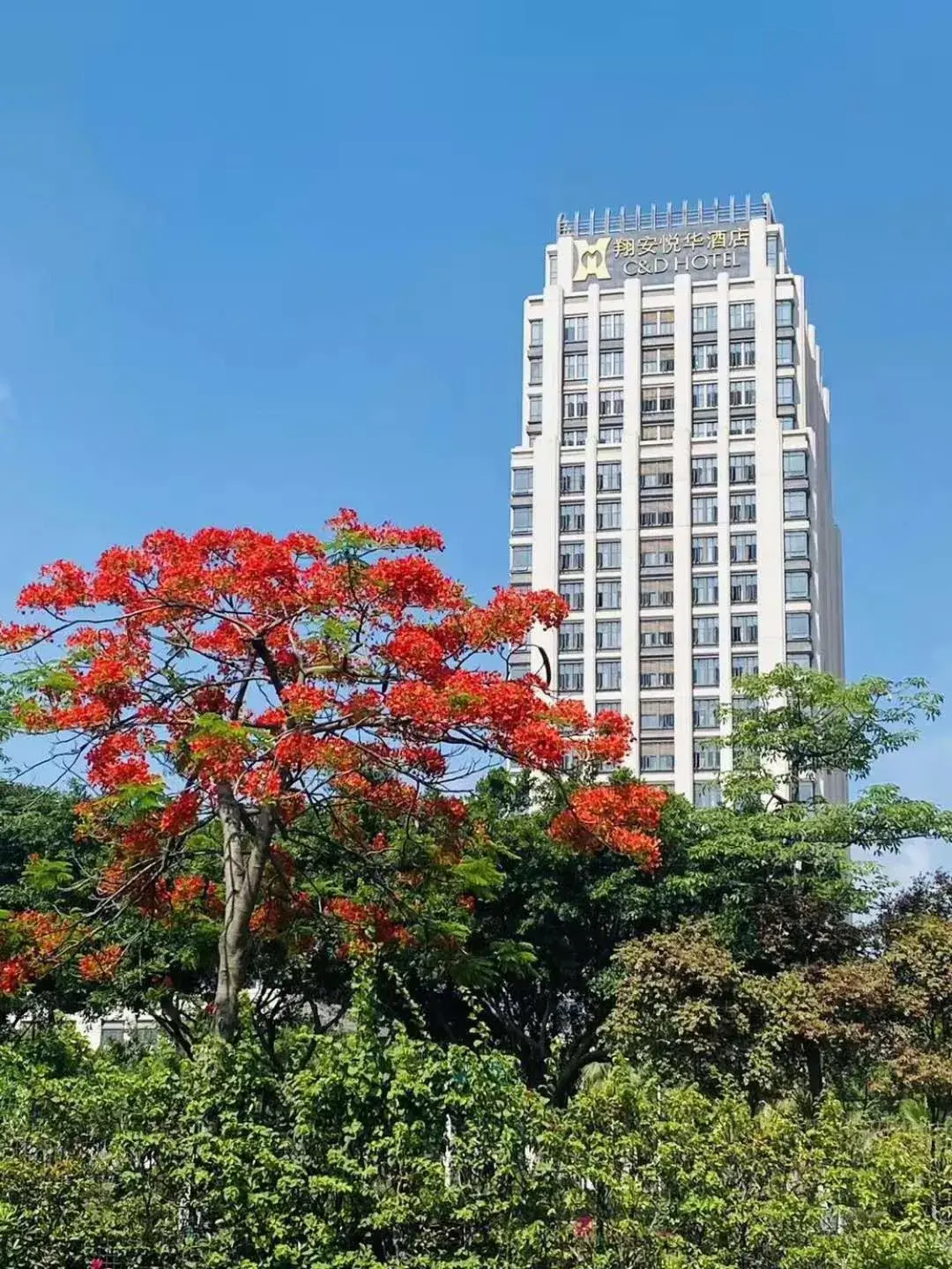 Property building in C&D Hotel,Xiamen Xiang'an-Late Check Out & Free Welcome Snacks Property building in C&D Hotel,Xiamen Xiang'an-Late Check Out & Free Welcome Snacks