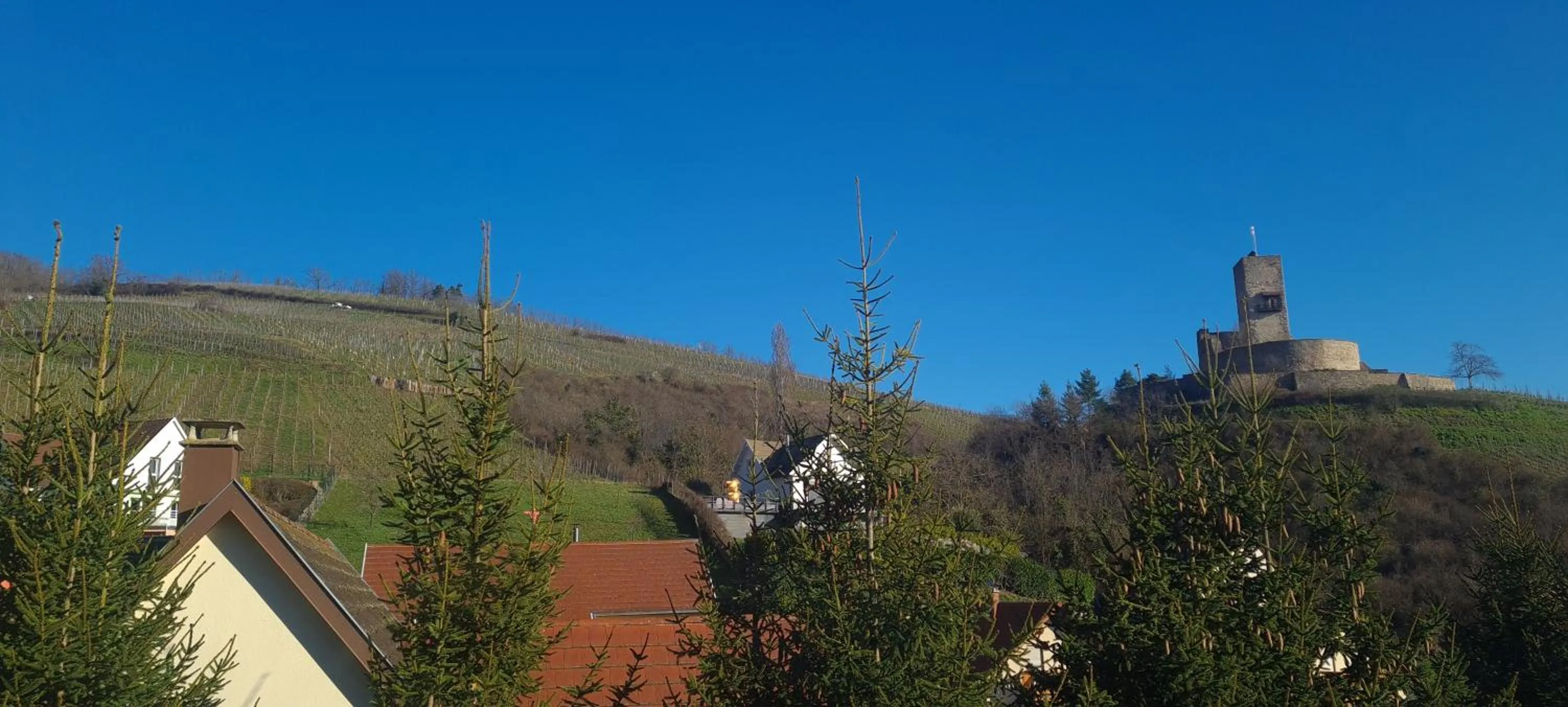 Day in Gîte et chambres d'hôtes Les Framboises