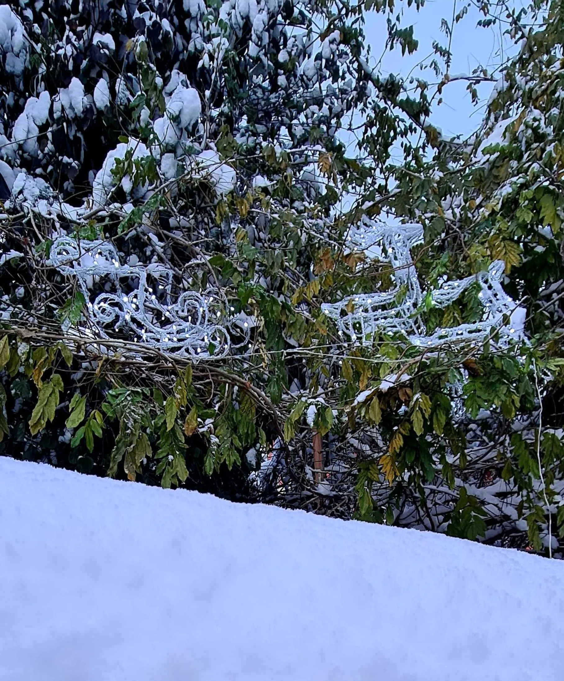 Gîte et chambres d'hôtes Les Framboises