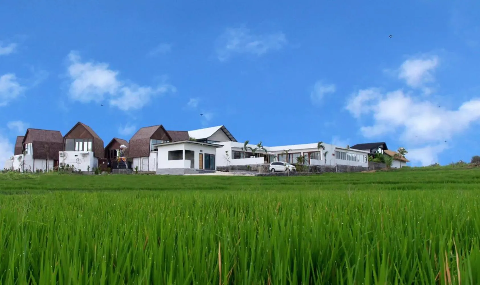 Facade/entrance in BB Garden Resort