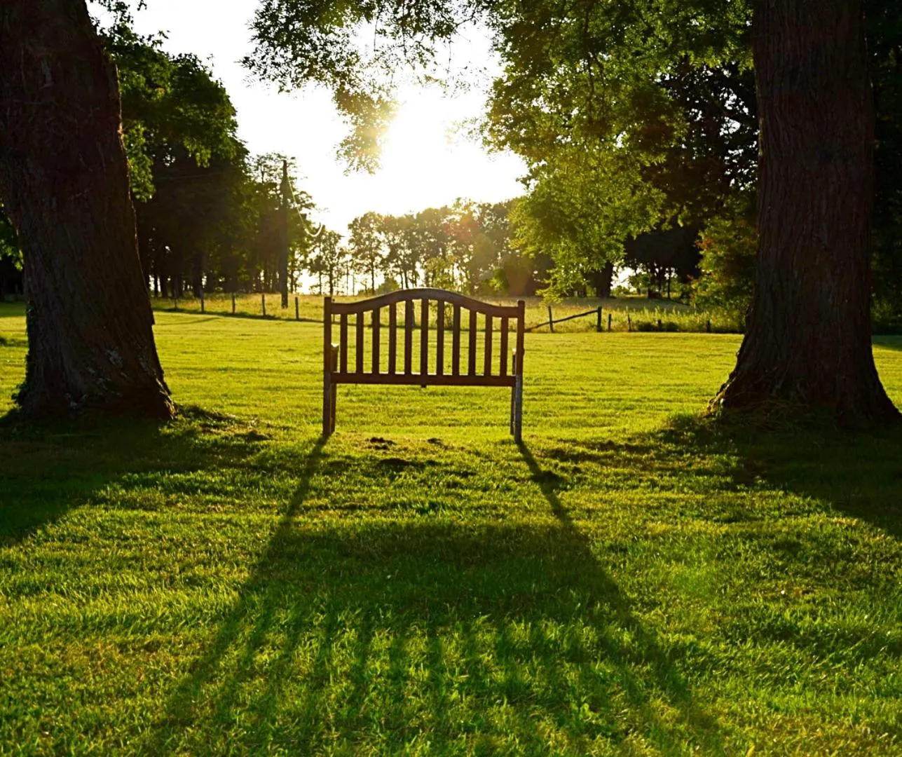 Garden view in Loire Valley Cottages