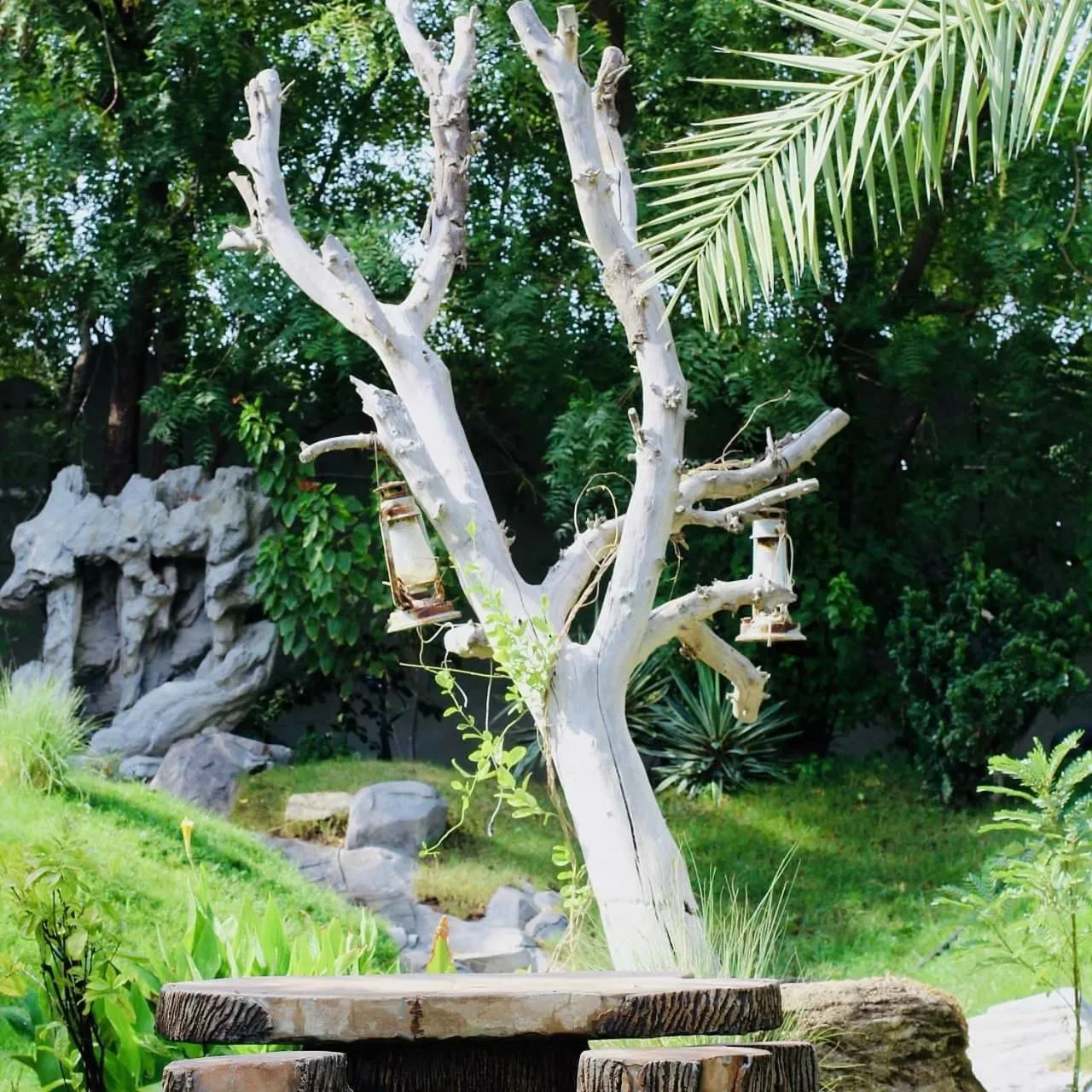 Garden in Daraysh Hotel