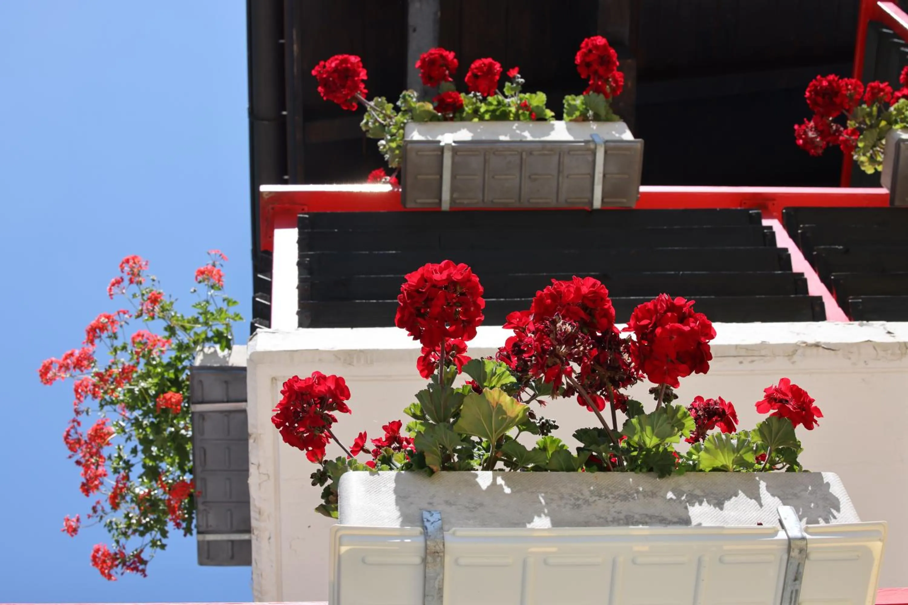 Balcony/Terrace in Hotel Restaurant Mattmarkblick