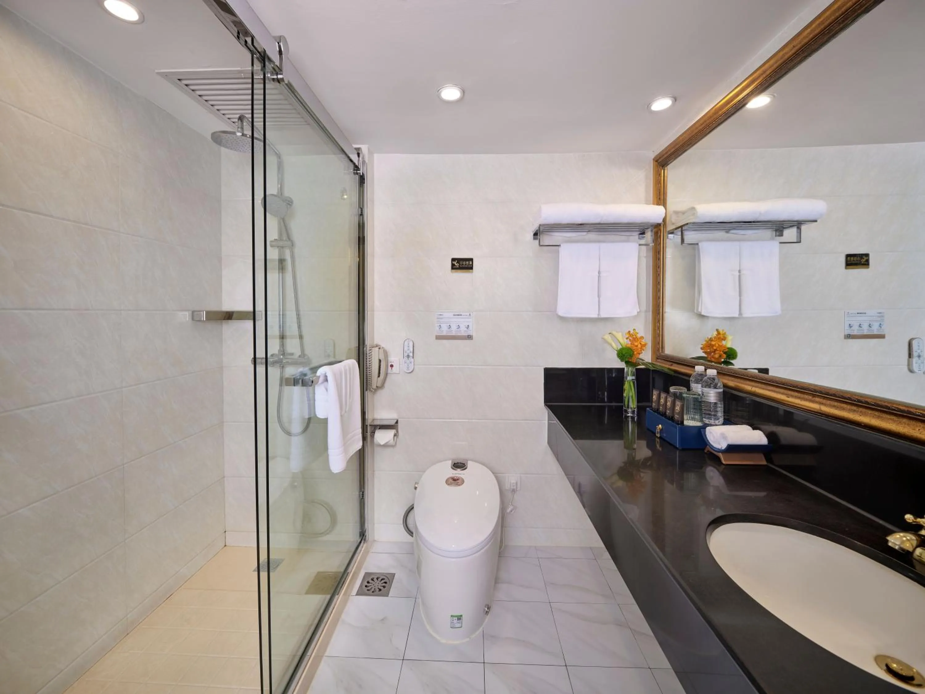 Toilet in Shanghai Park Hotel - Hudec Excellent Historical Building - Priority Access for Classic Butterfly Cookies Without queuing to guests