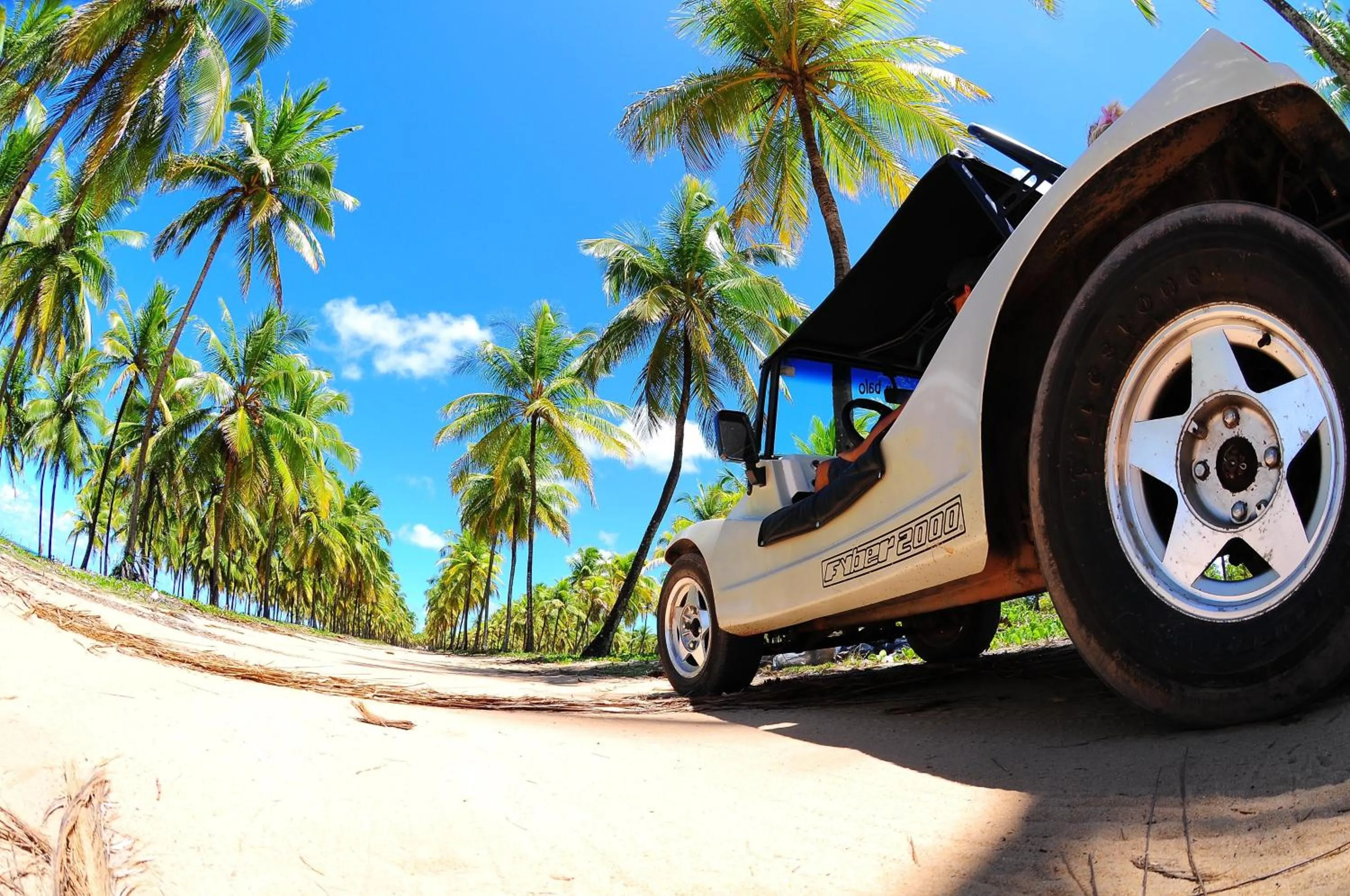 Natural landscape in Privê Pontal de Maracaipe
