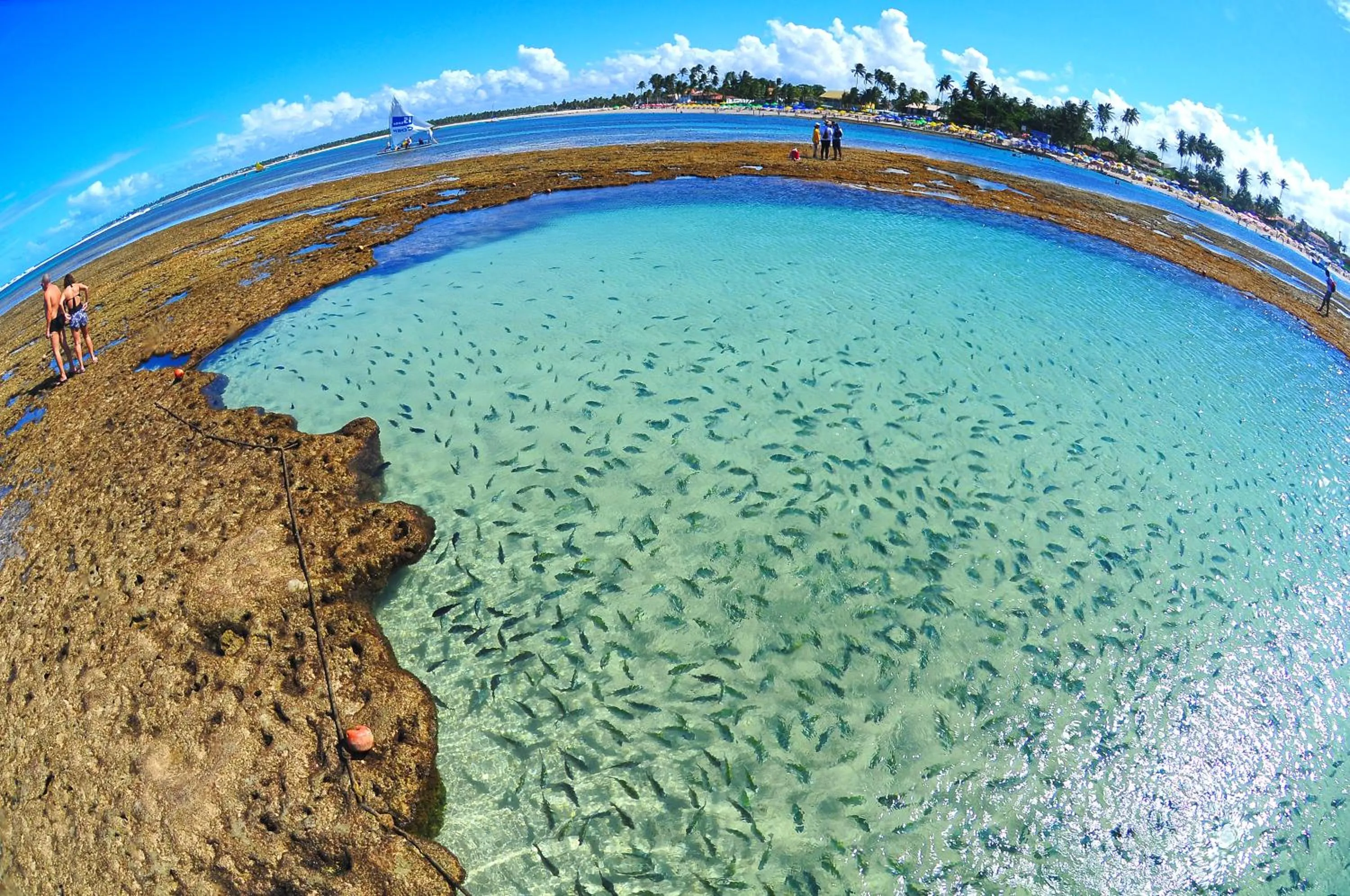 Beach in Privê Pontal de Maracaipe