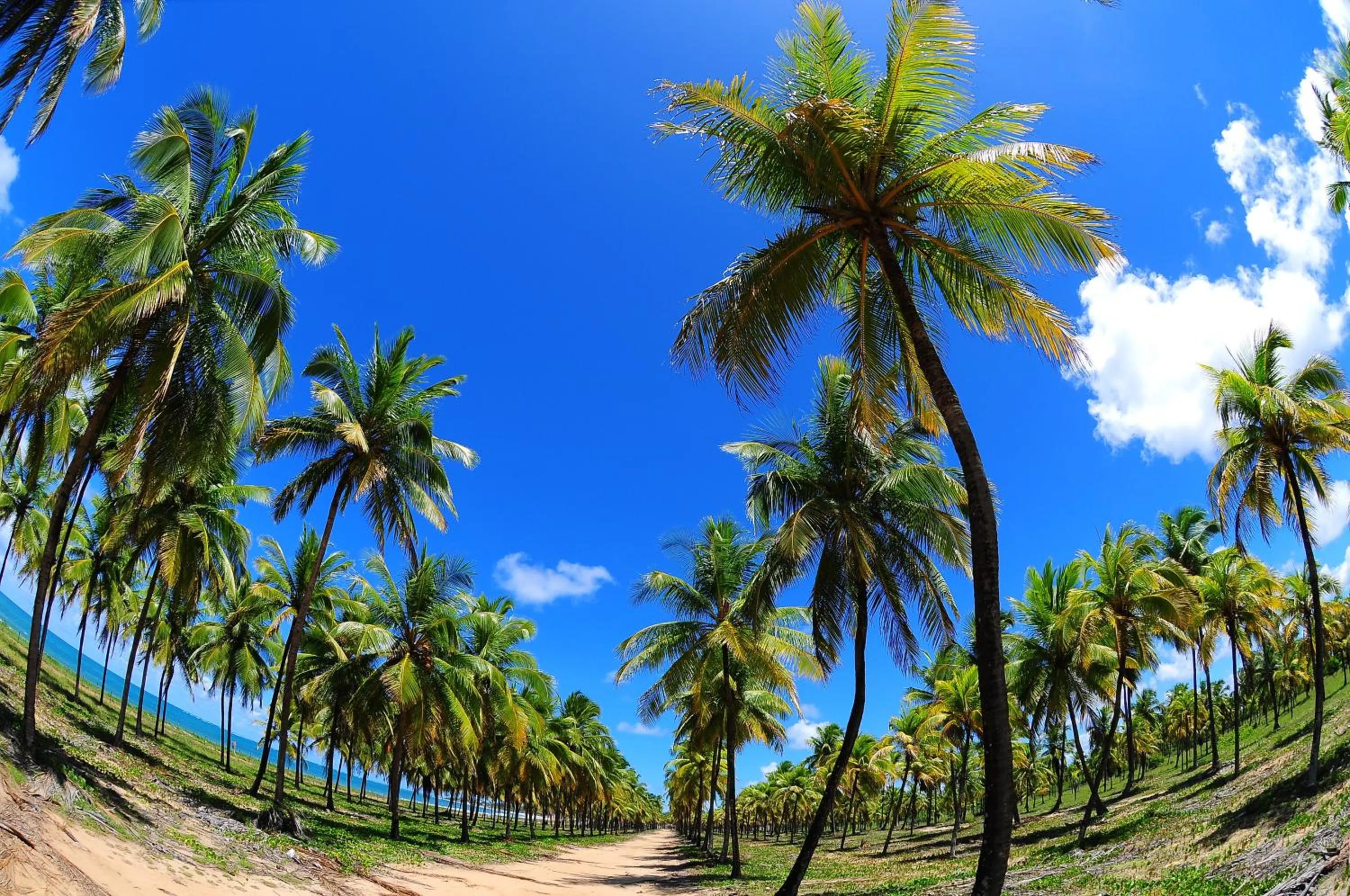 Natural landscape in Privê Pontal de Maracaipe