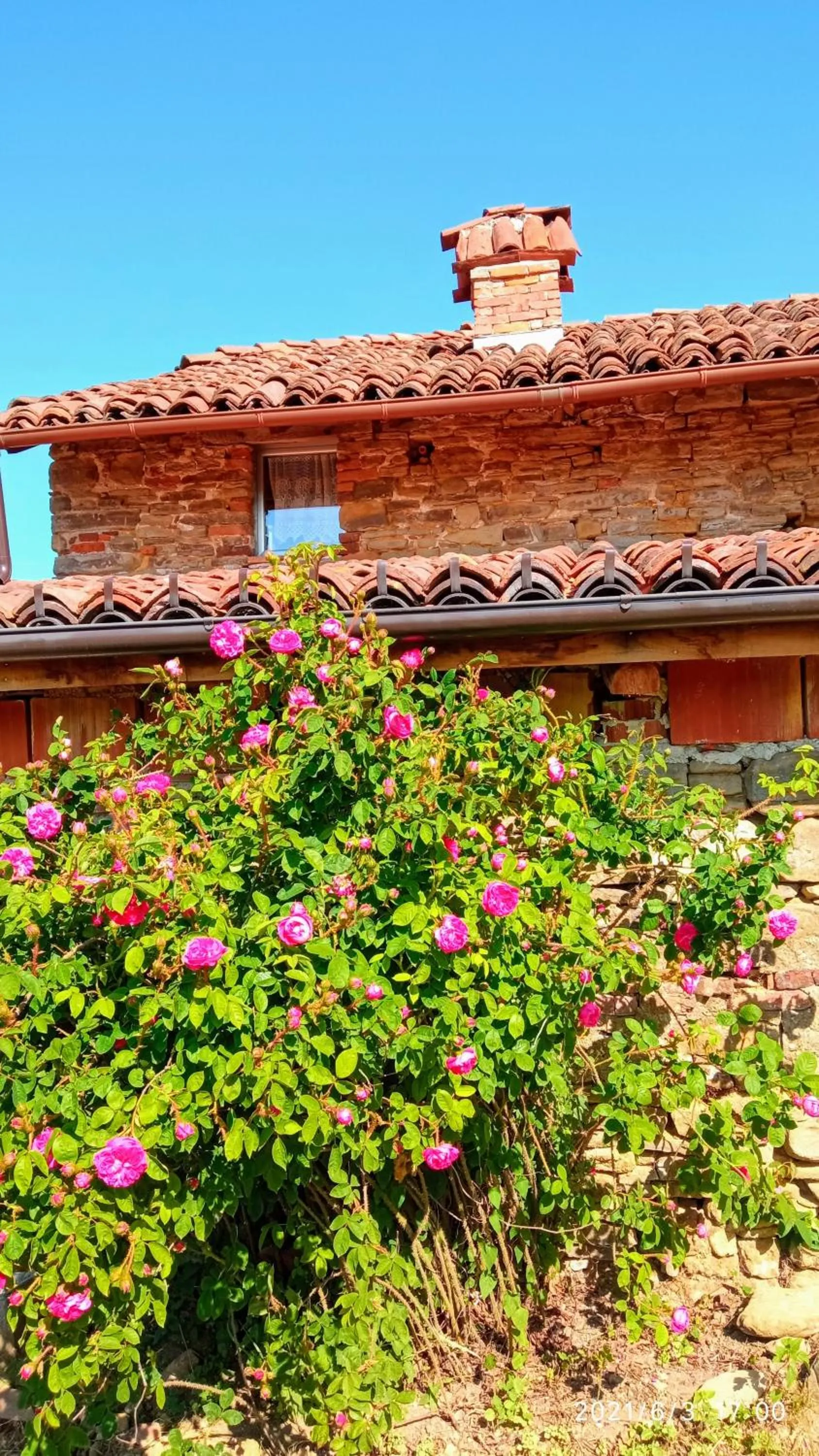 Property building in Cascina Boschetto