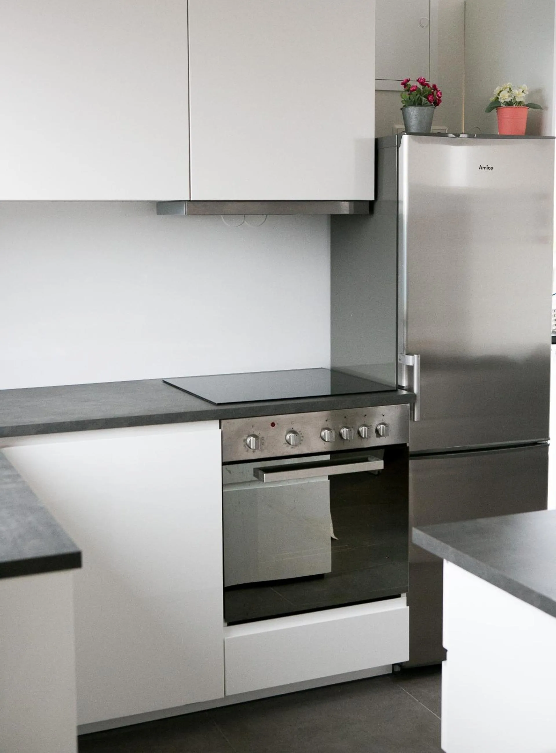 Kitchen or kitchenette in Cave apartment