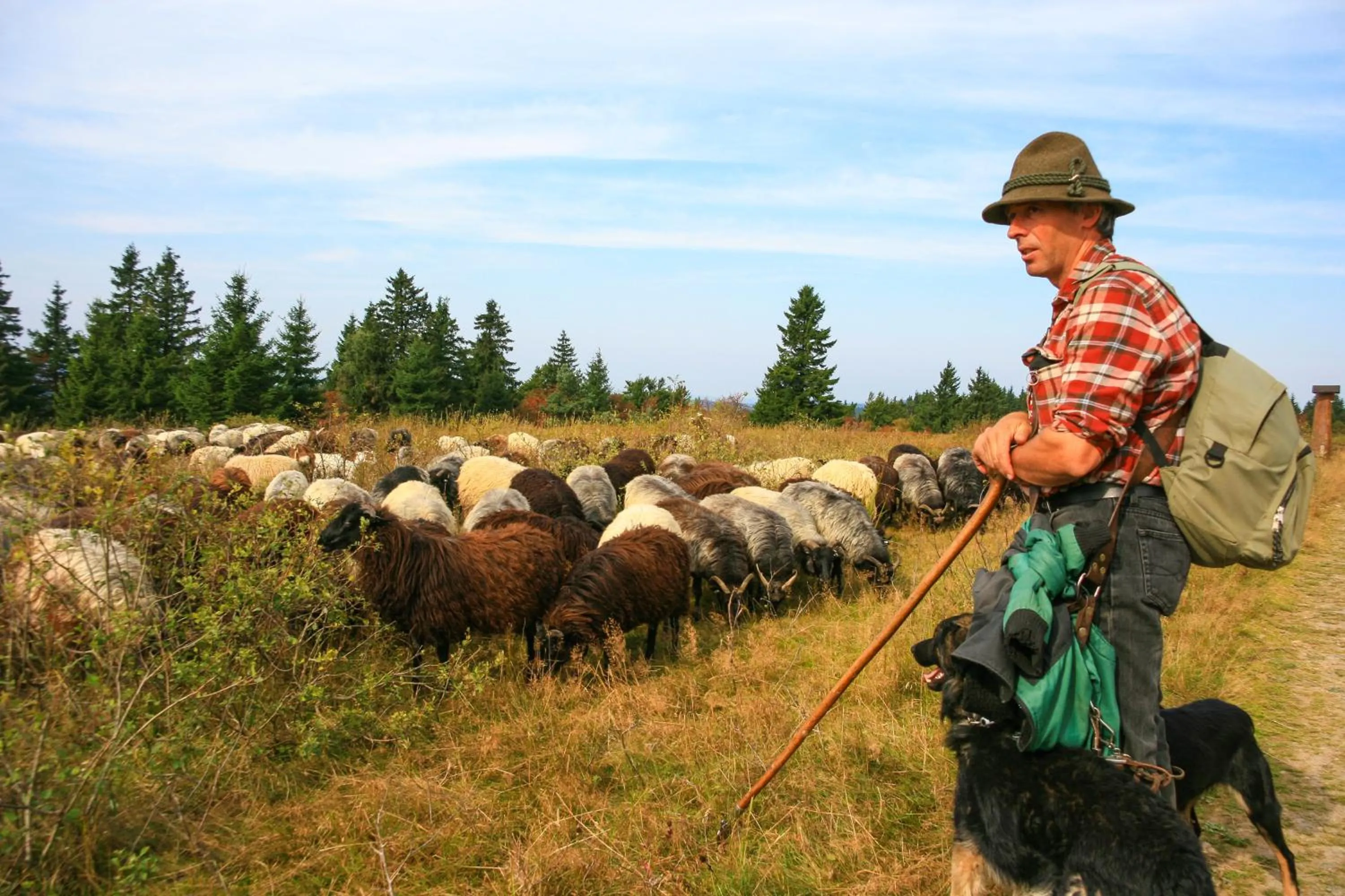 Hiking in Landgasthof Gilsbach