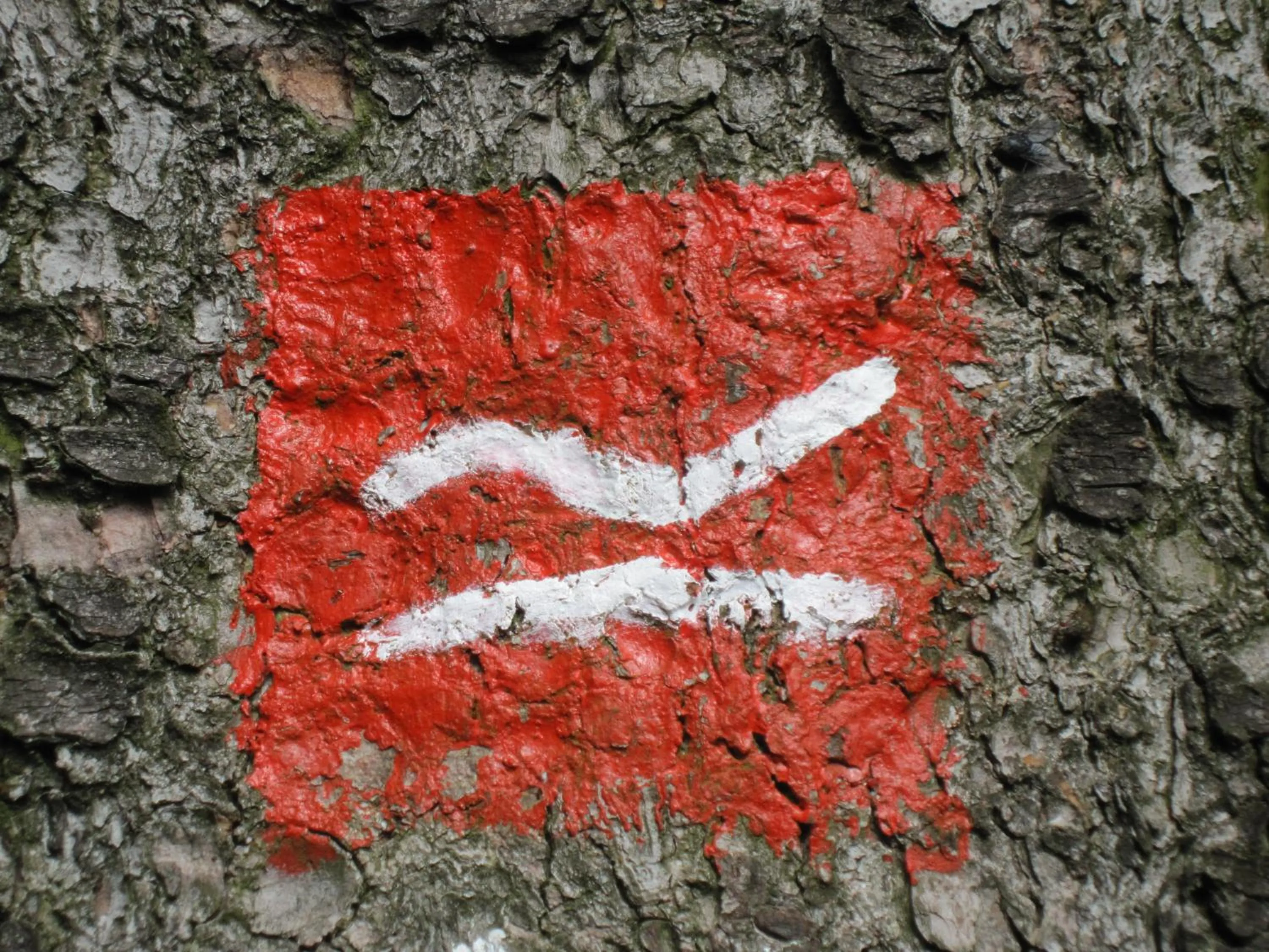 Logo/Certificate/Sign in Landgasthof Gilsbach