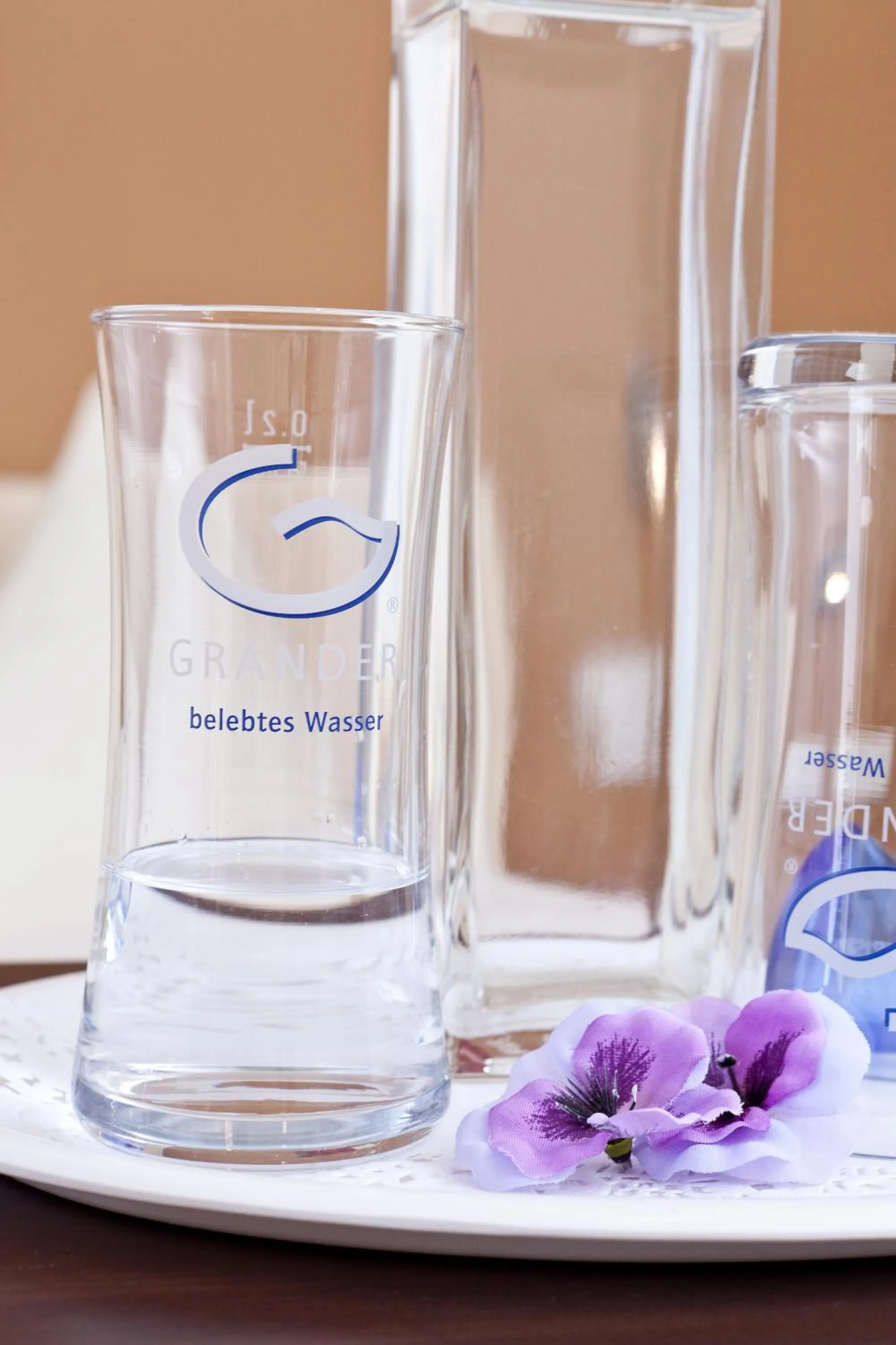 Decorative detail in Engelhard Das Landhotel Garni