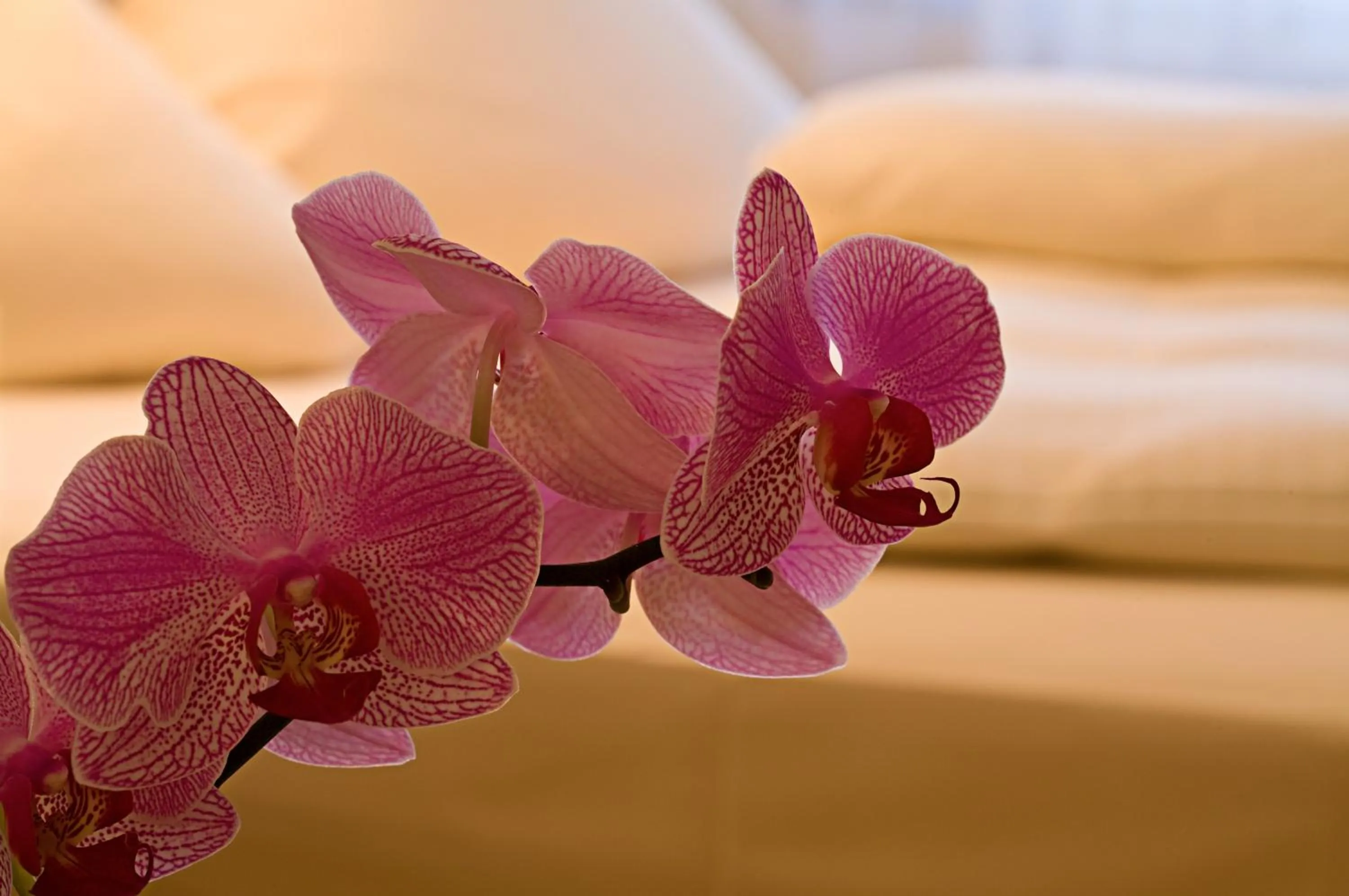 Decorative detail, Bed in Engelhard Das Landhotel Garni