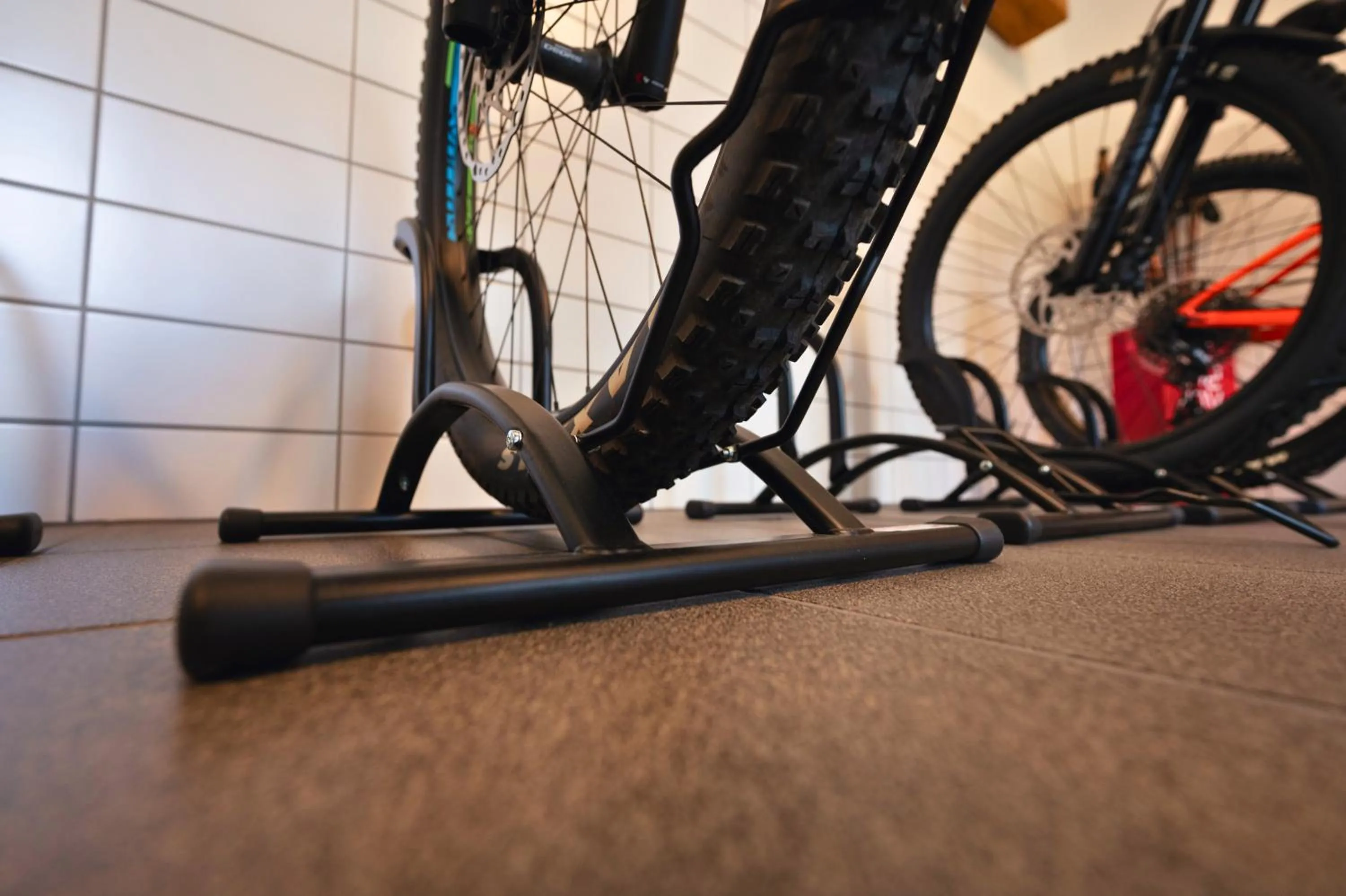 Sports in BLEIBE VIER Ferienwohnungen